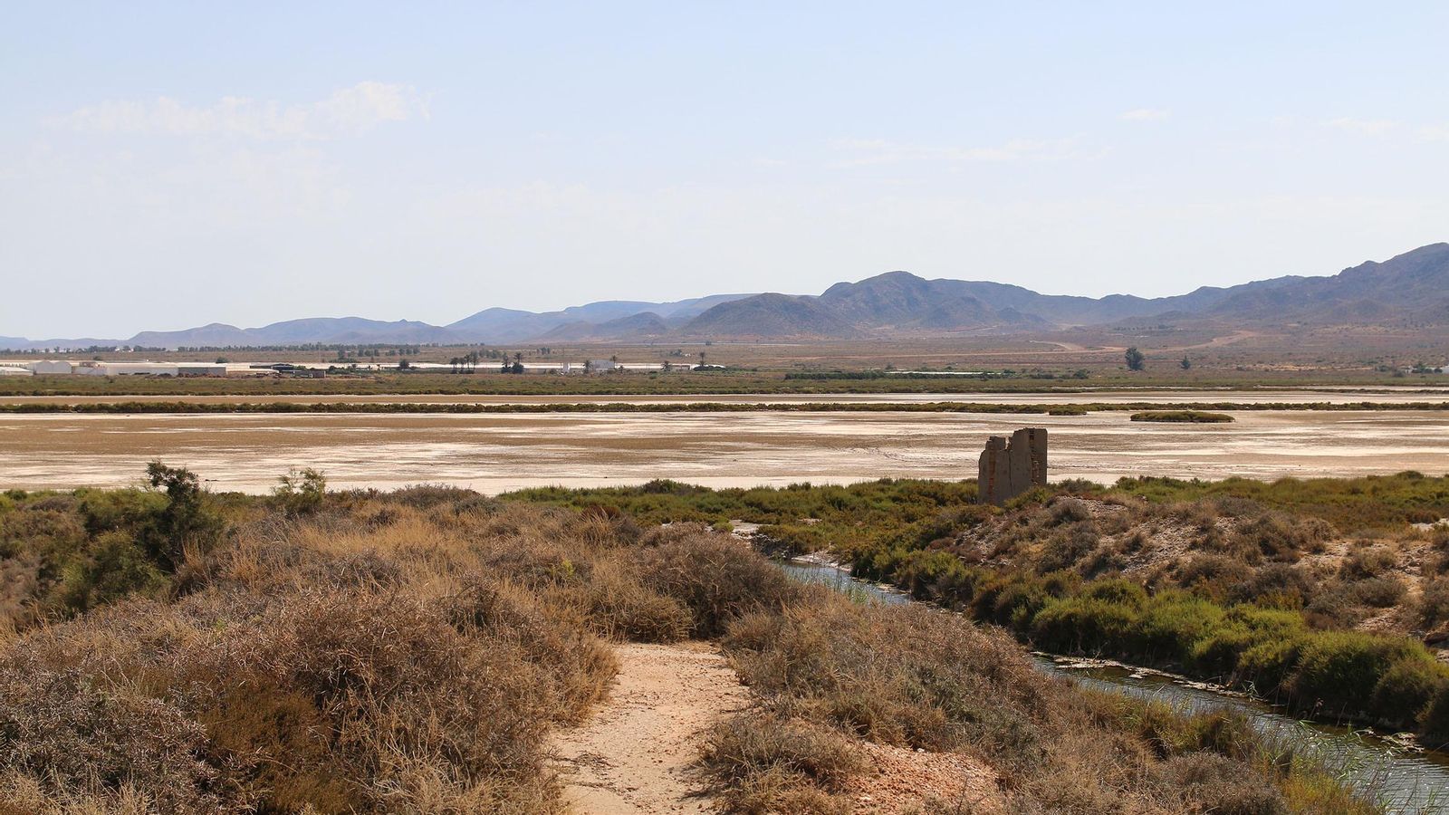 Estado actual de los humedales sin agua en Las Salinas de Cabo de Gata
