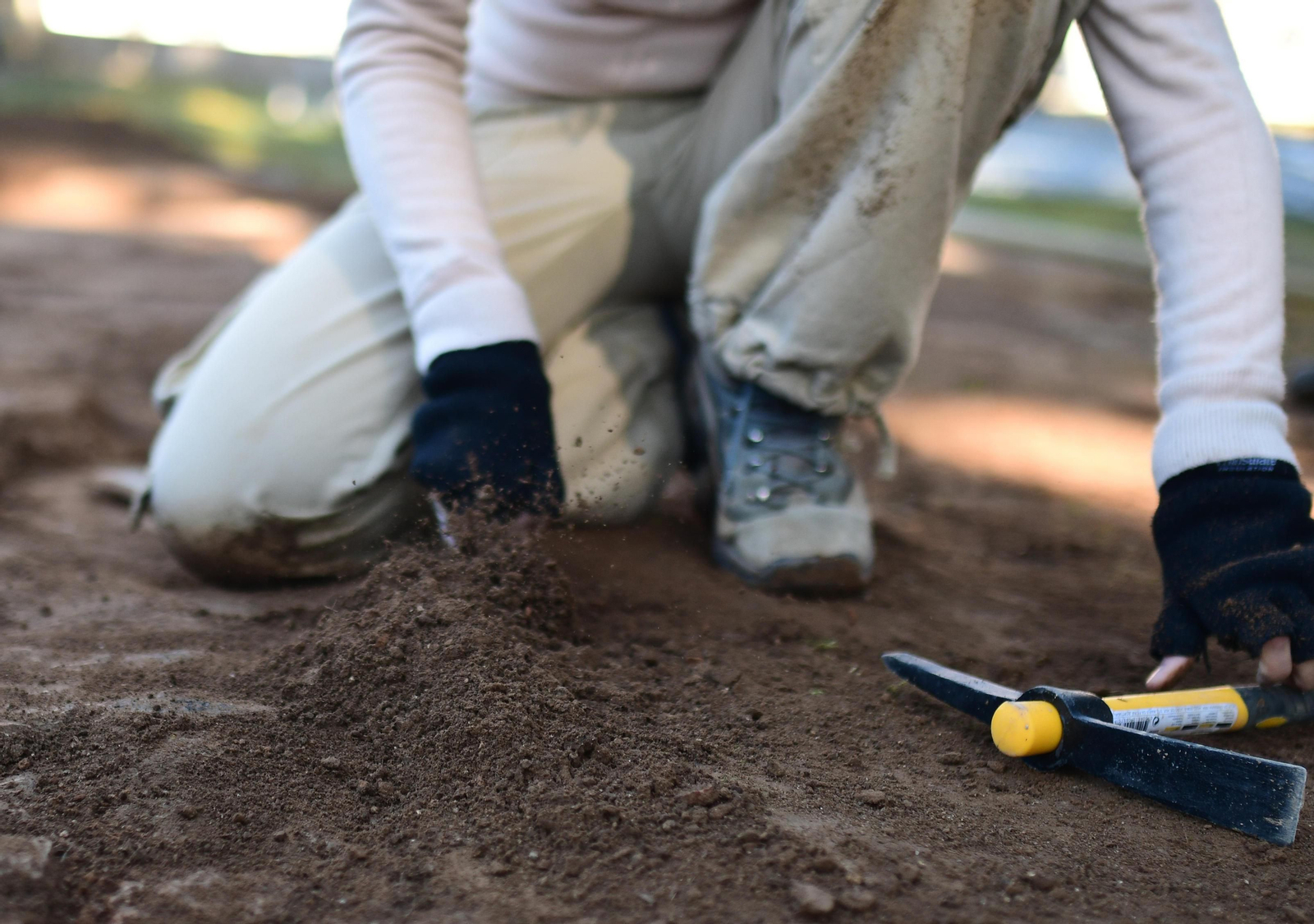 Catas en el cementerio de La Salud de Córdoba.