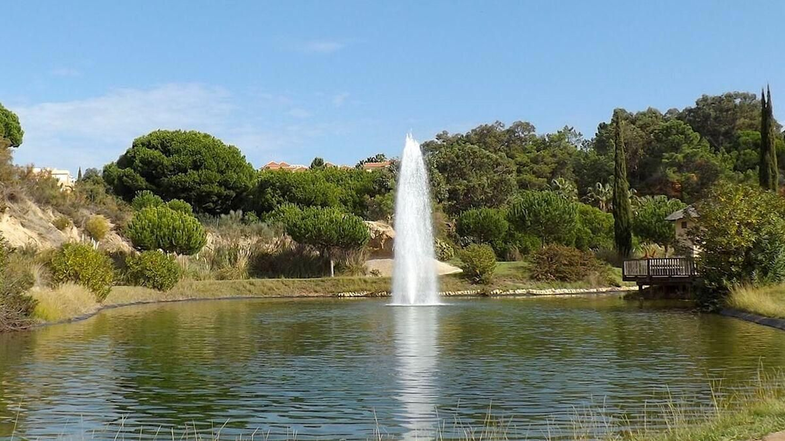 Descubre esta ruta guiada gratuita por uno de los senderos más bellos de Huelva