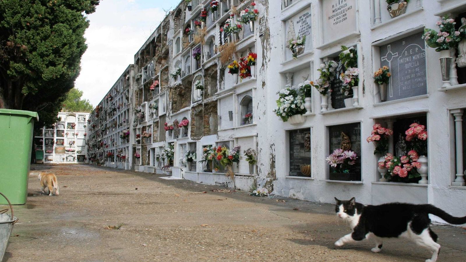 Las cuarteladas con los nichos vacíos sin tabicar, algunas casi en estado ruinoso.
