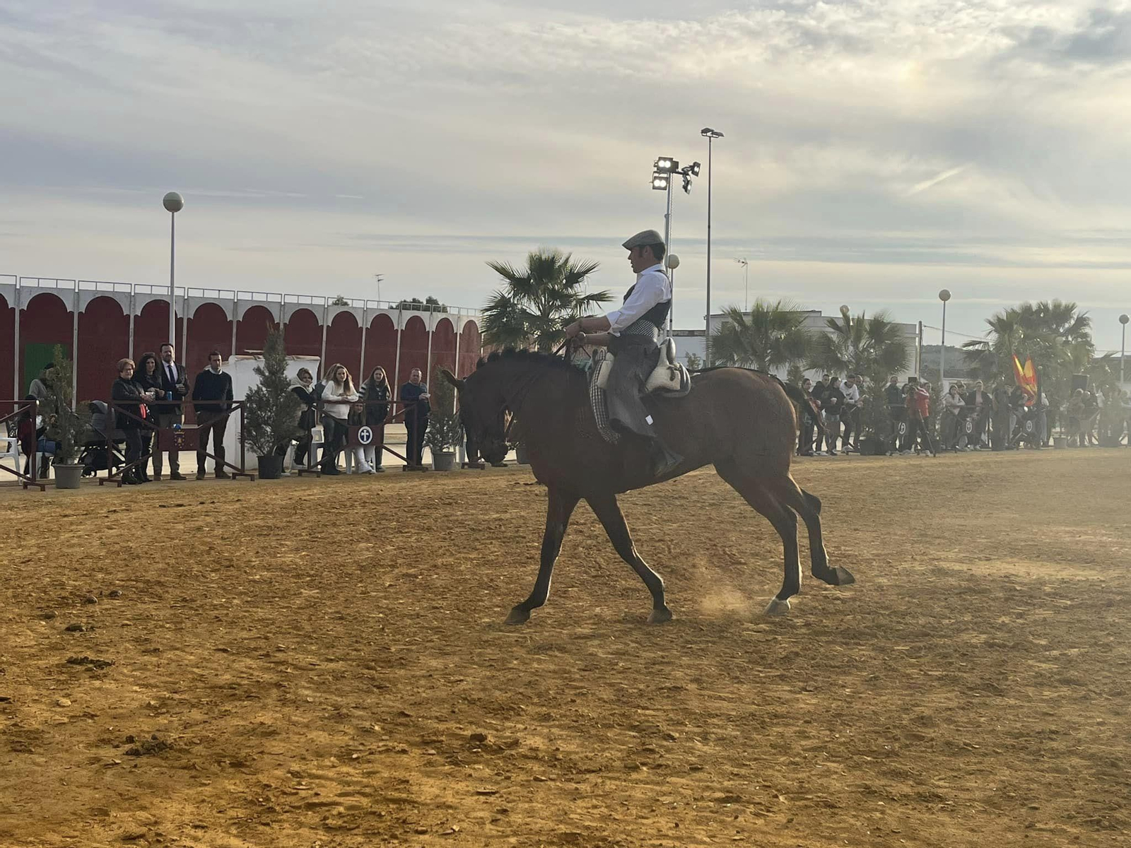 La exhibición ecuestre Caballos de Nuestra Tierra de Bujalance, en imágenes