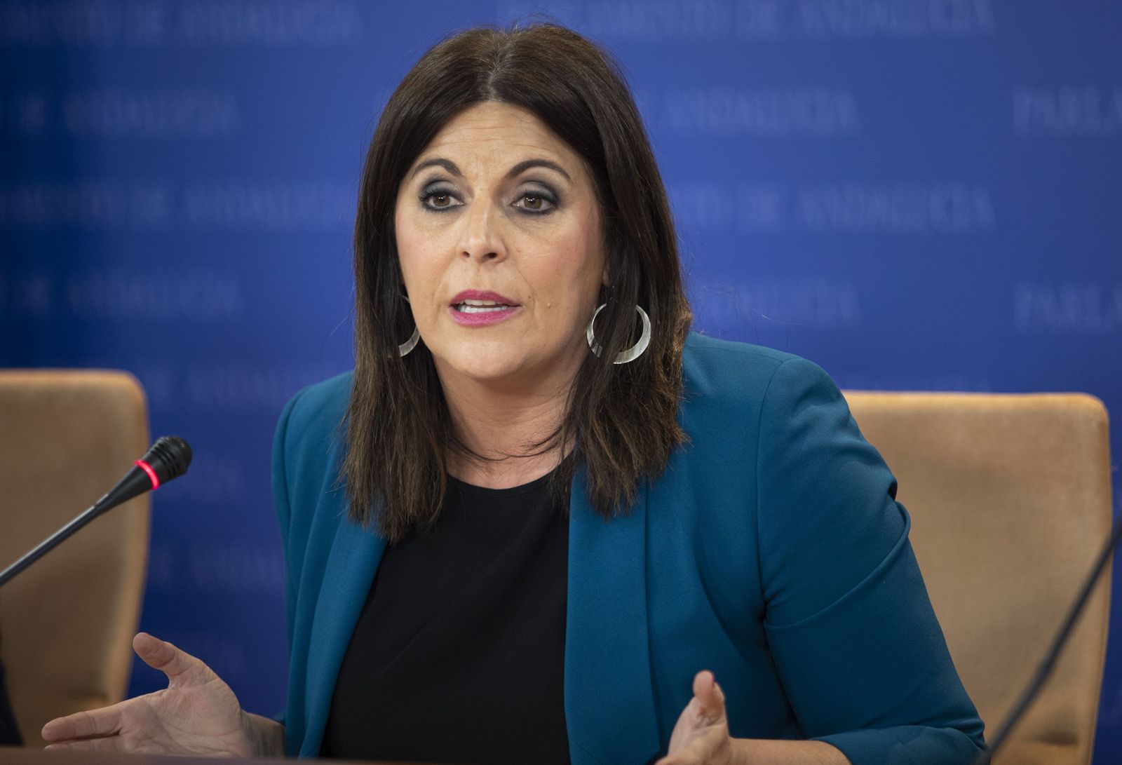 La portavoz del grupo PSOE-A, Ángeles Férriz