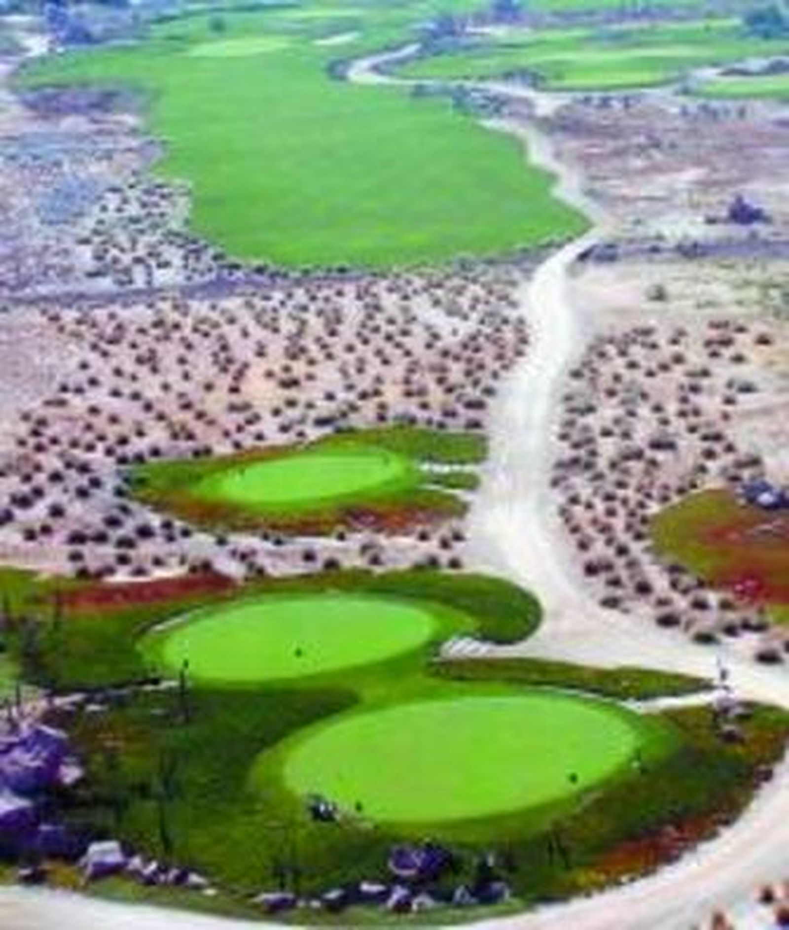 Panorámica de Desert Springs.