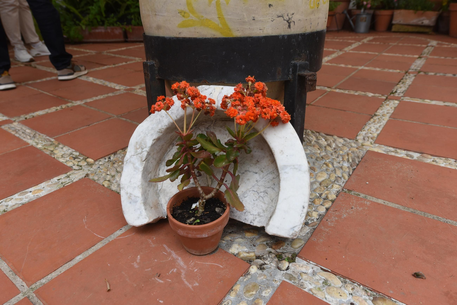 Una ruta en imágenes por los patios de la Judería y San Francisco