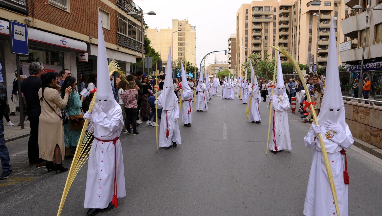 La Borriquita procesiona por las calles de Almería, en imágenes