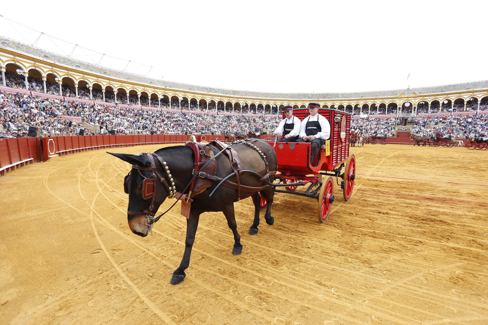 La 34º exhibición de enganches de la Feria de Sevilla en imágenes