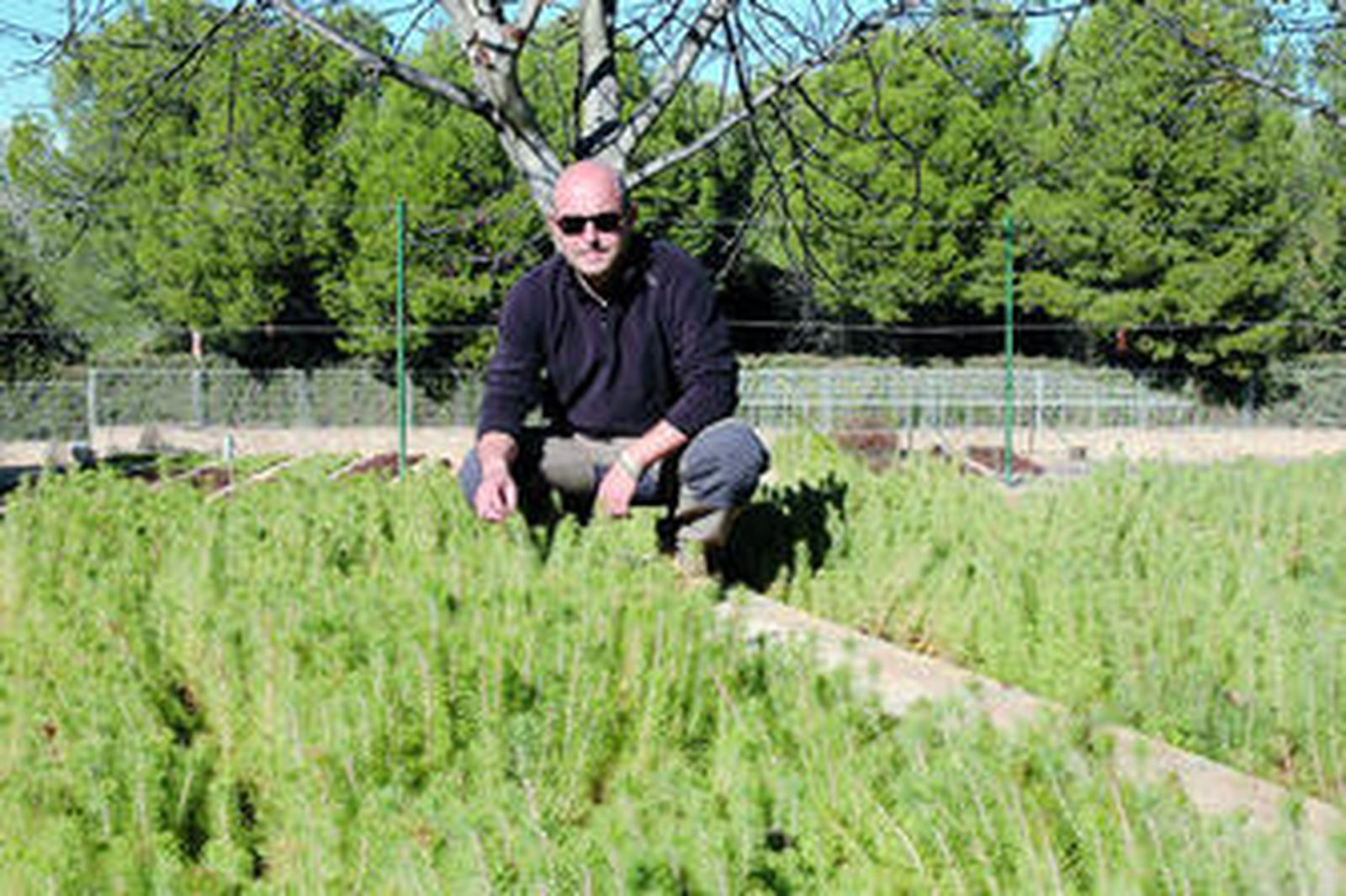 El delegado de Medio Ambiente, Clemente García, en un vivero.