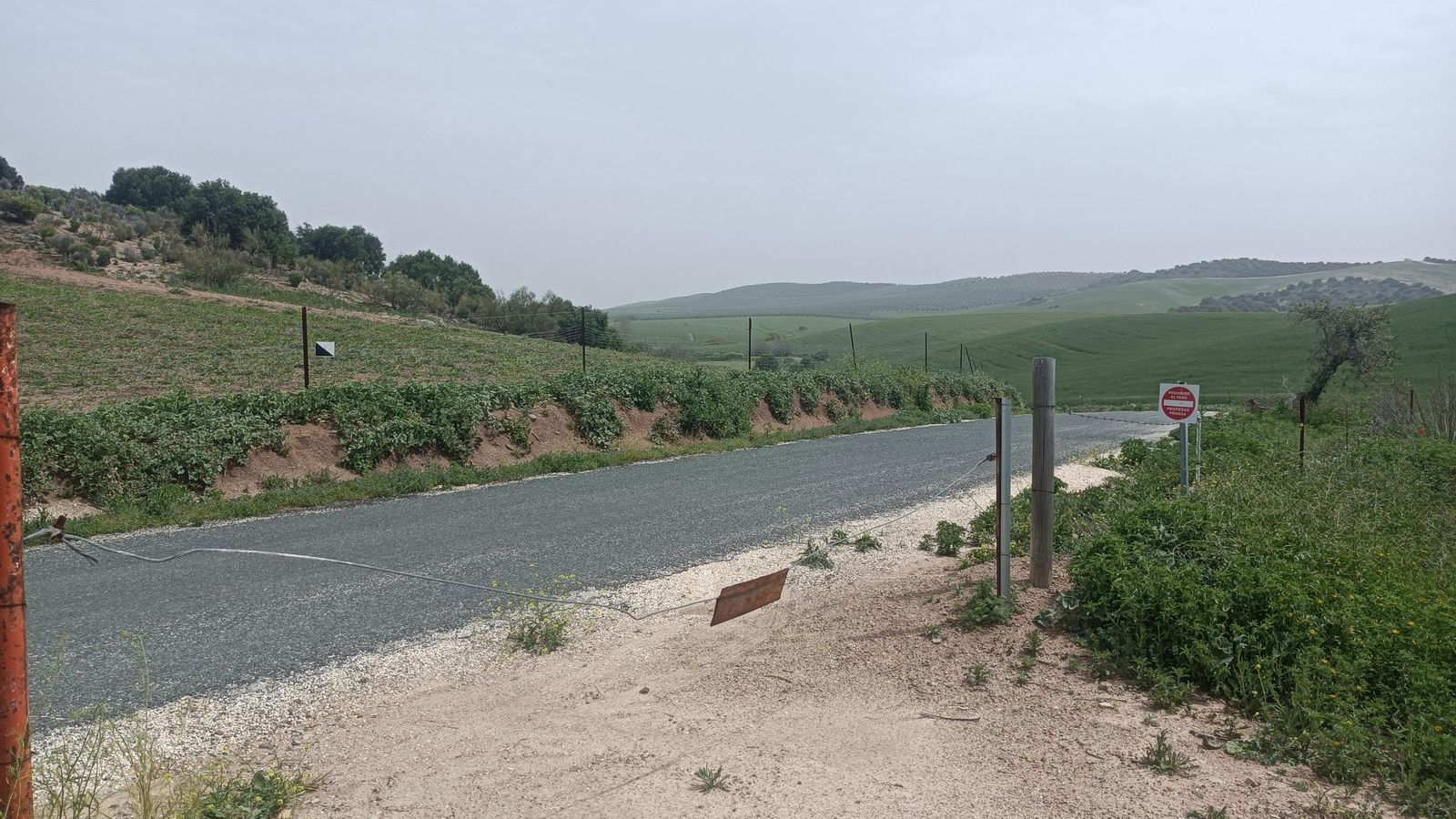 Salimos del terreno de los Frailes por una alambrada. La carretera nos deja, en menos de un kilómetro, en la Hacienda de San Pedro.