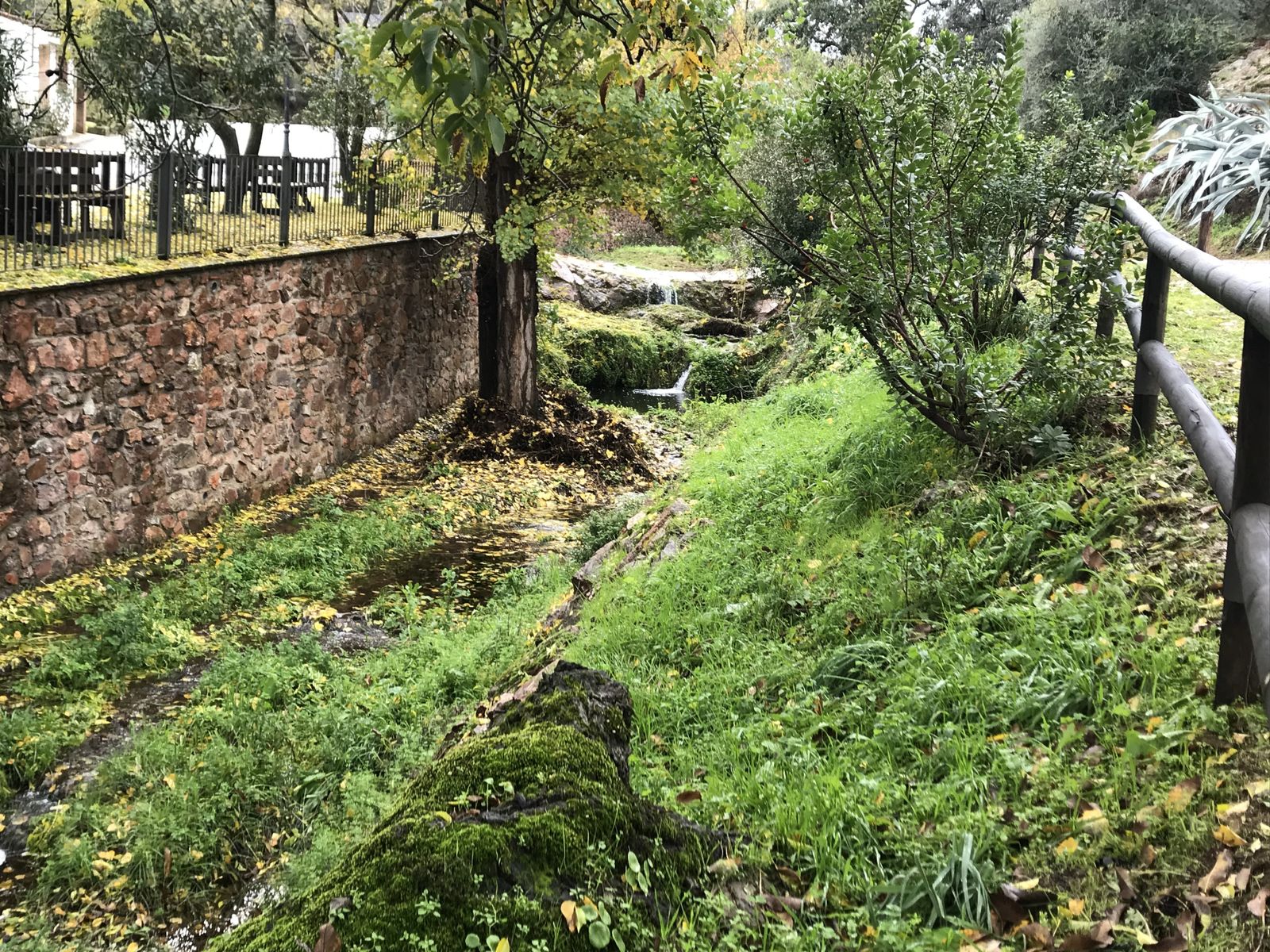 Uno de los bosques del parque botánico Los Nogales de Puerto Moral.