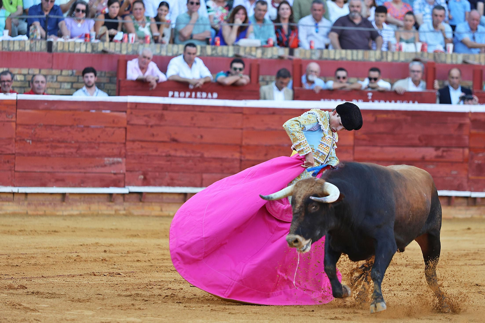 Toros La Merced 2024 Novillada con picadores(