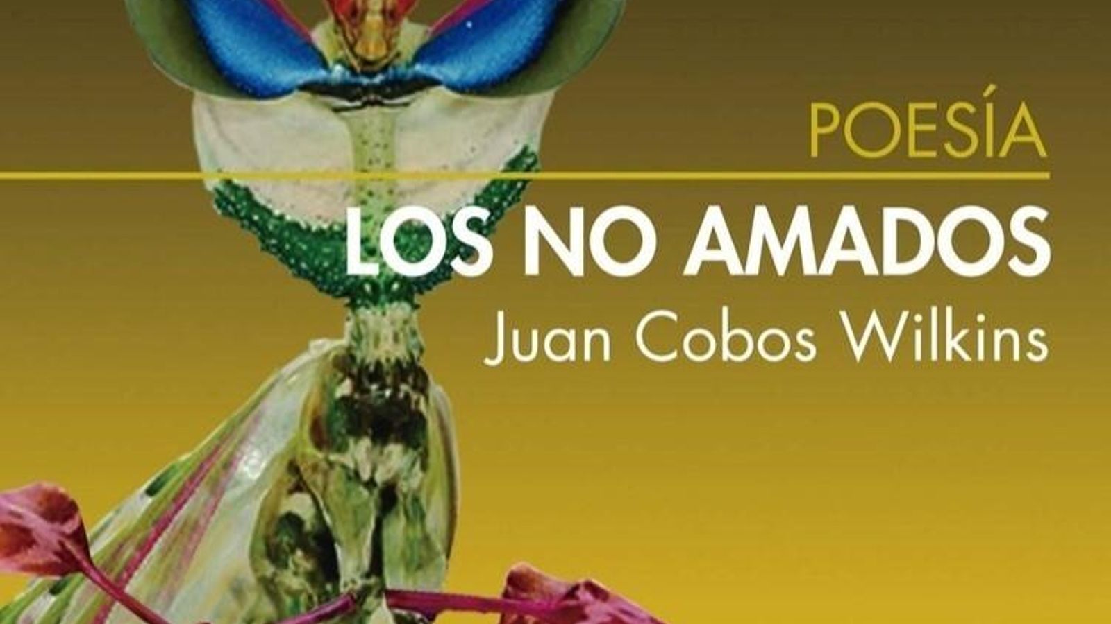 Portada de 'Los no amados'