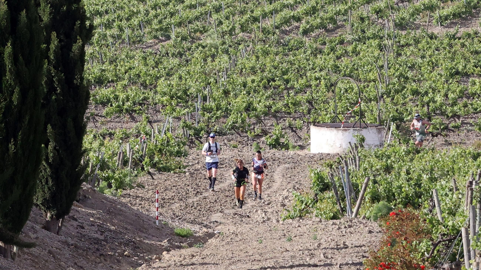 Búscate en la Sherry Maratón 2025 de Jerez (I)
