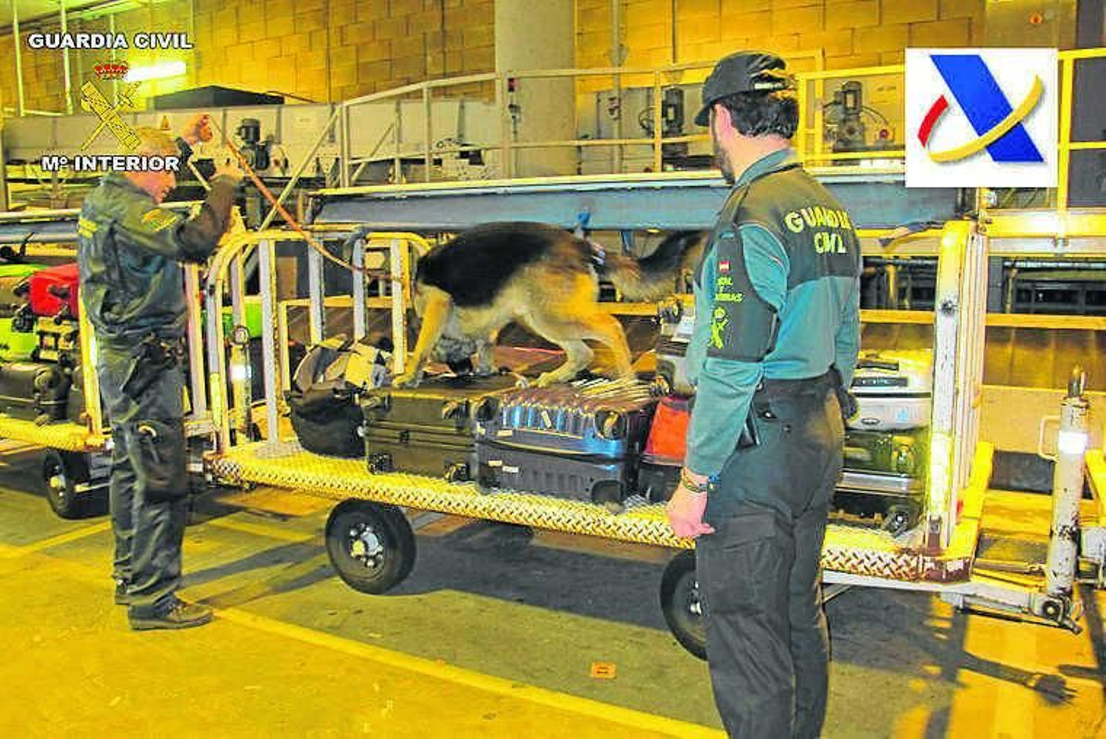 Inspección de una maleta en el aeropuerto de San Pablo.