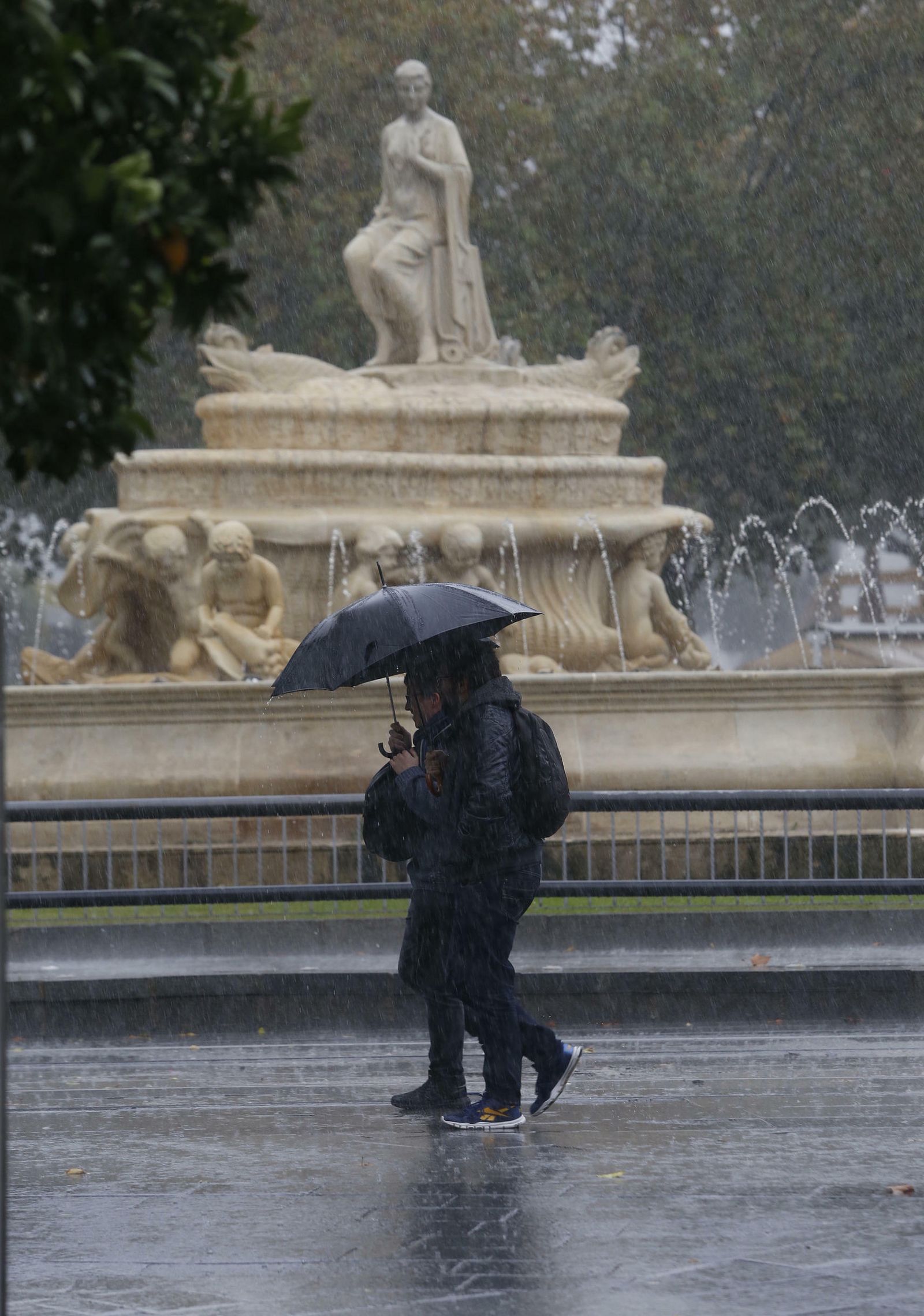 Las imágenes del temporal en Sevilla
