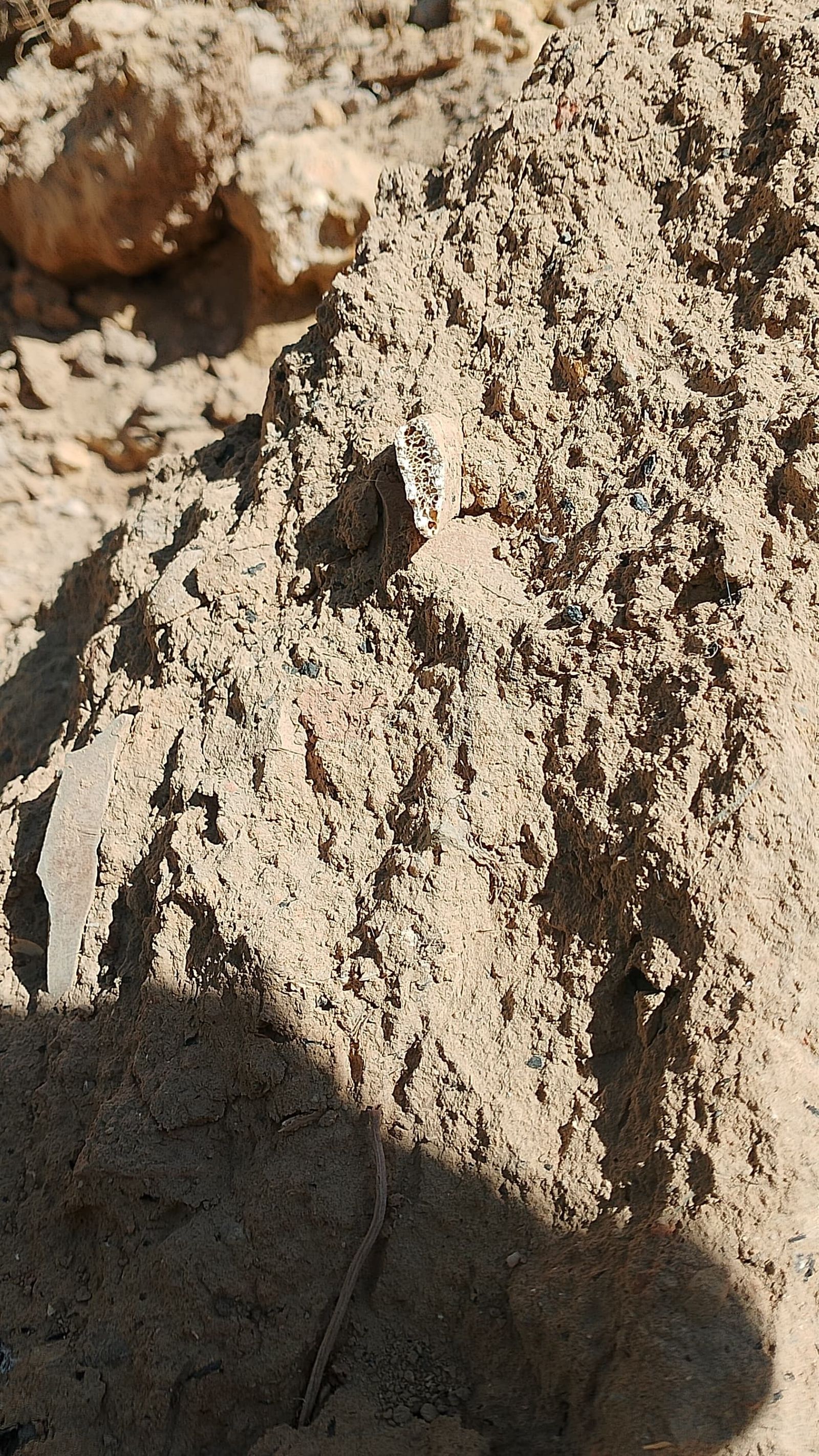 Restos arqueológicos aparecidos en el cabezo de San Pedro de Huelva.