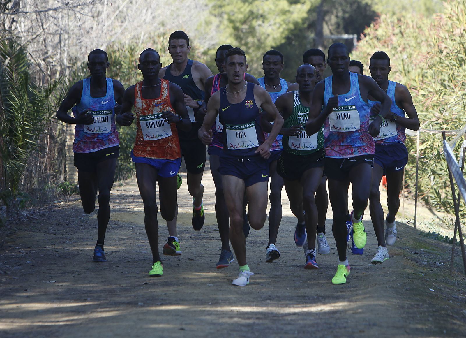 XXXVI edición del Cross Internacional de Itálica