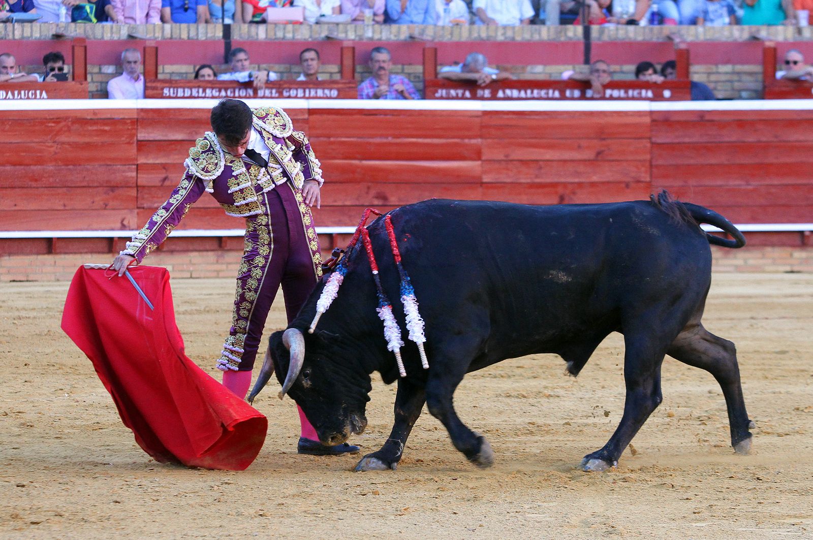 Imágenes de la Novillada de Rafael Serna, Emilio Silvera y Rodrigo Molina.