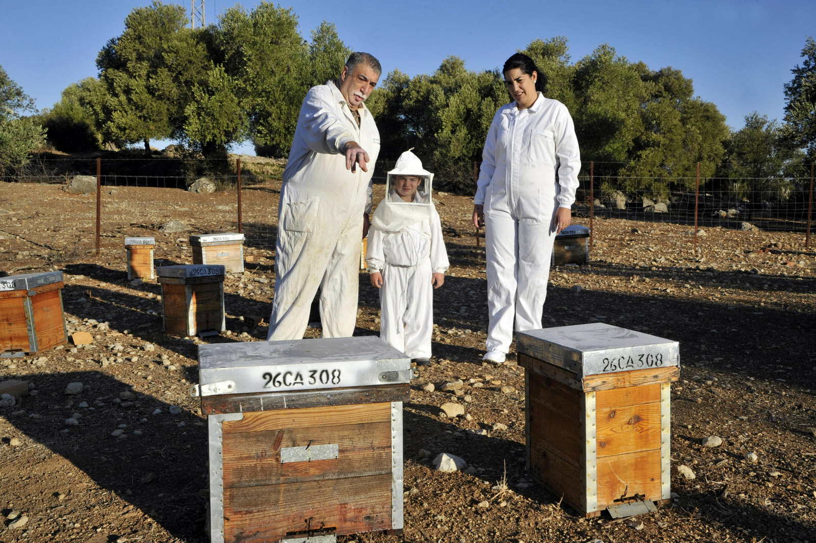 Industria apícola en la provincia