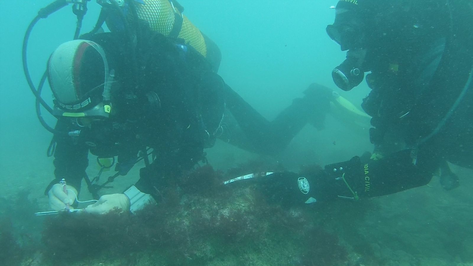 Las imágenes de la Operación Versos