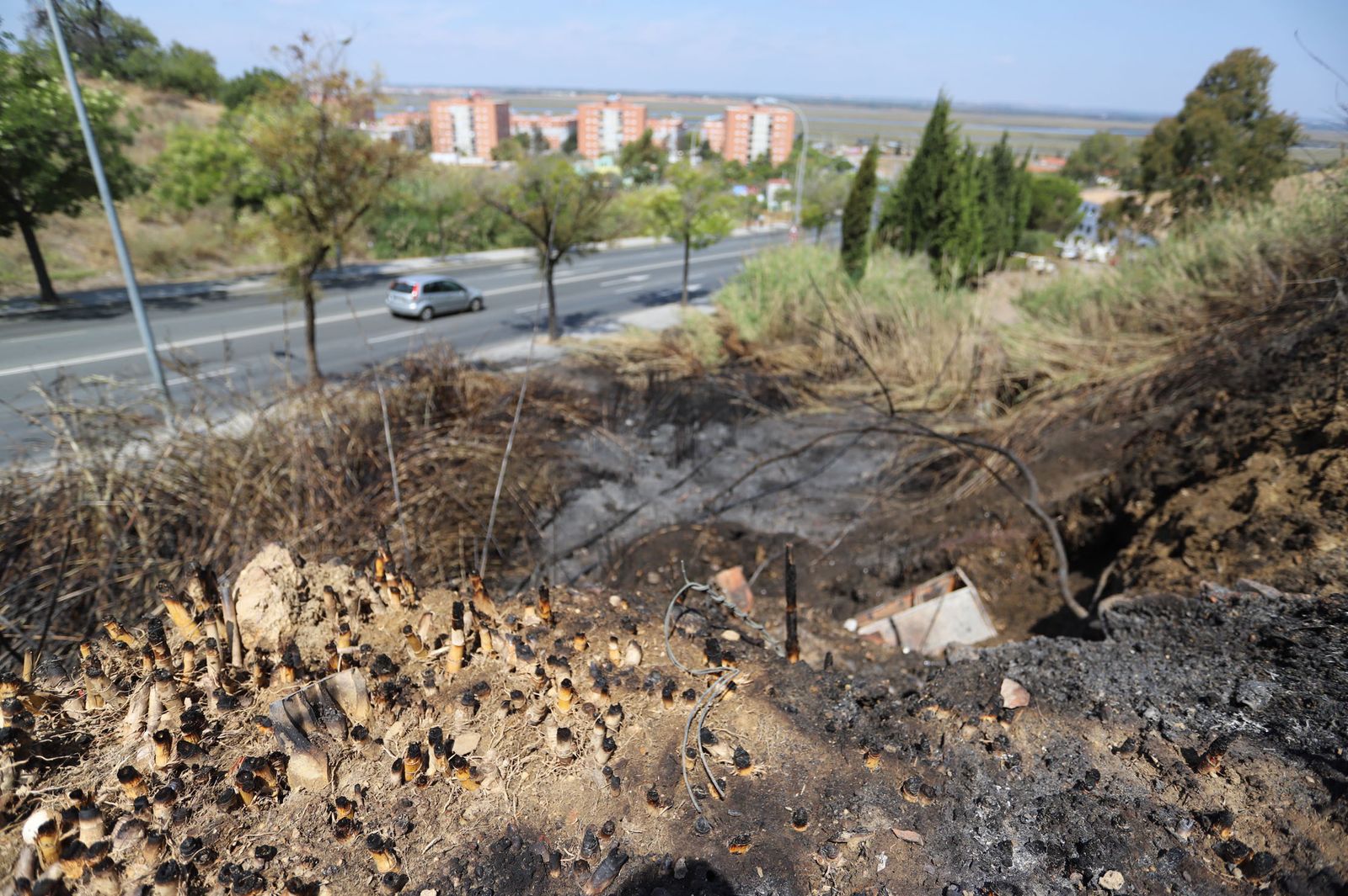 Imágenes de la ladera del Santuario de la CInta calcinadas por un incendio