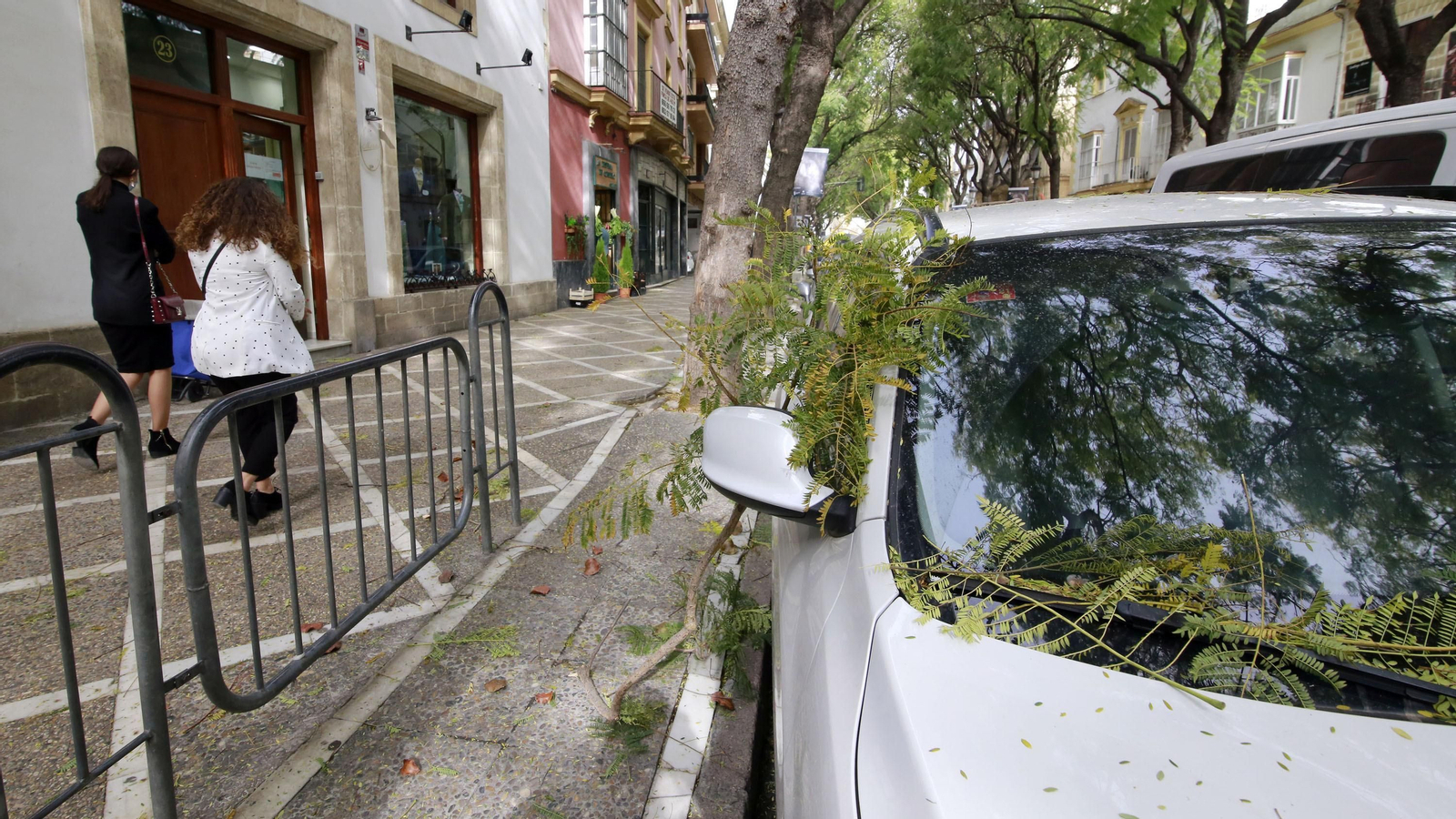 Imágenes de los destrozos ocasionados por el fuerte temporal