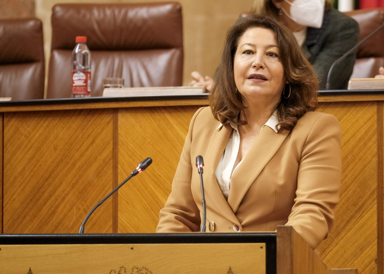 Carmen Crespo defiende la ley de Economía Circular en la tribuna del Parlamento.