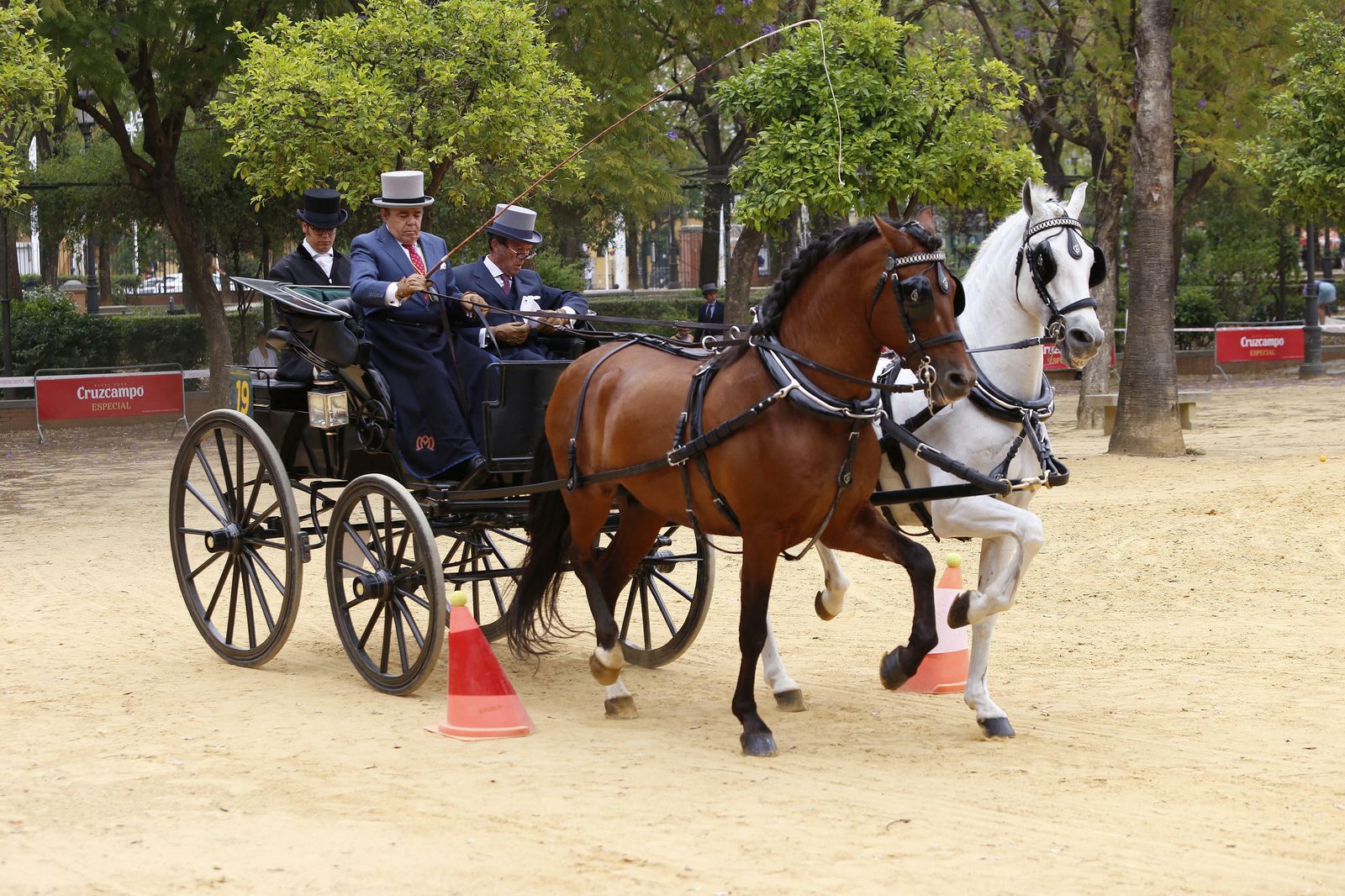 El concurso de enganches, en imágenes