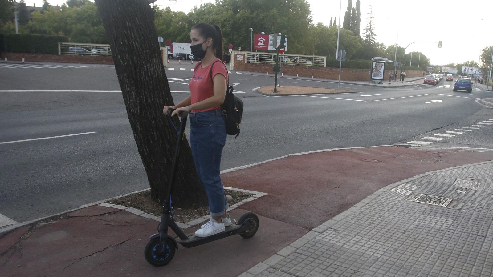 Carril bici puesto sobre un árbol.