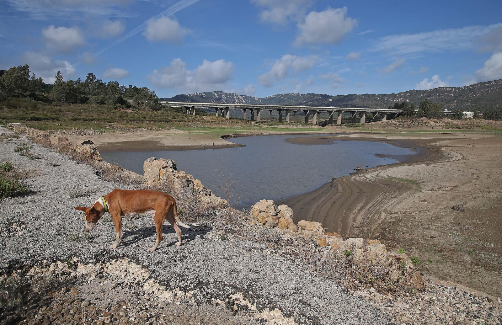 Imágenes del pantano de Charco Redondo en Los Barrios