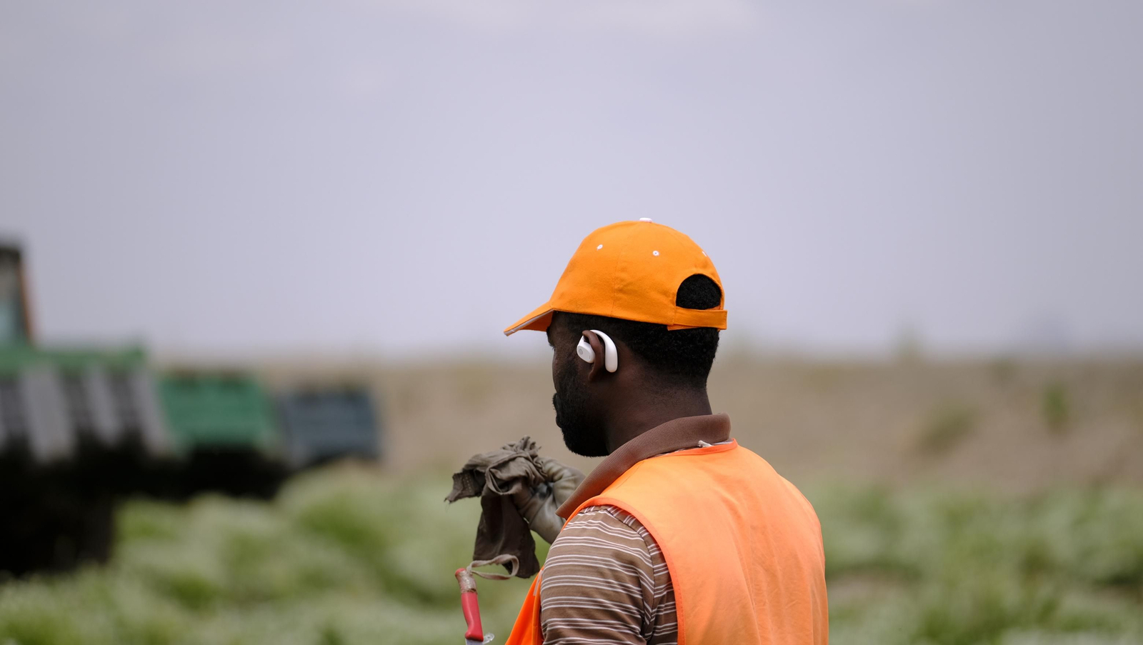 La sandía y el melón de Huércal Overa, manjares en imágenes
