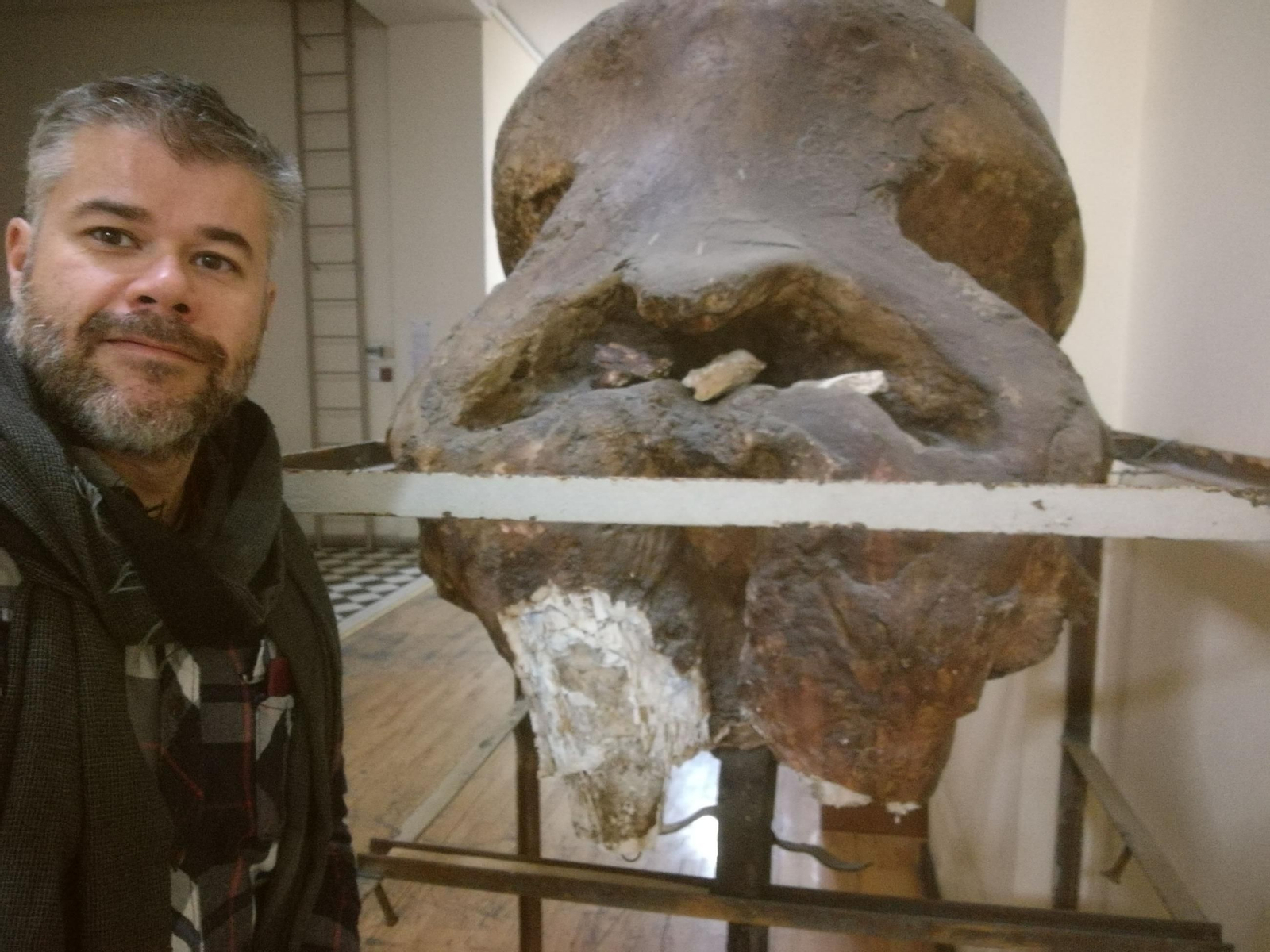 El investigador de la UMA Sergio Ros posa en el Museo de Georgia junto a un cráneo de elefante de exposición.