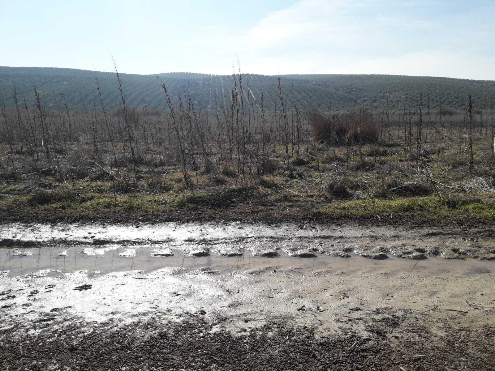 Restos de agua y neumáticos en lo que debería ser la laguna de Jarata de Montilla.