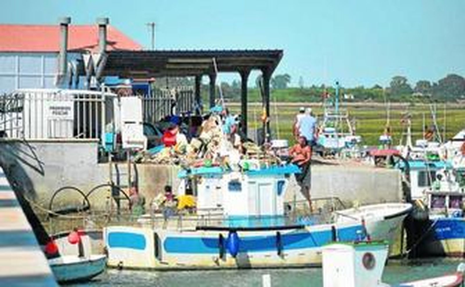 Vista del muelle pesquero que será reparado por la Junta.