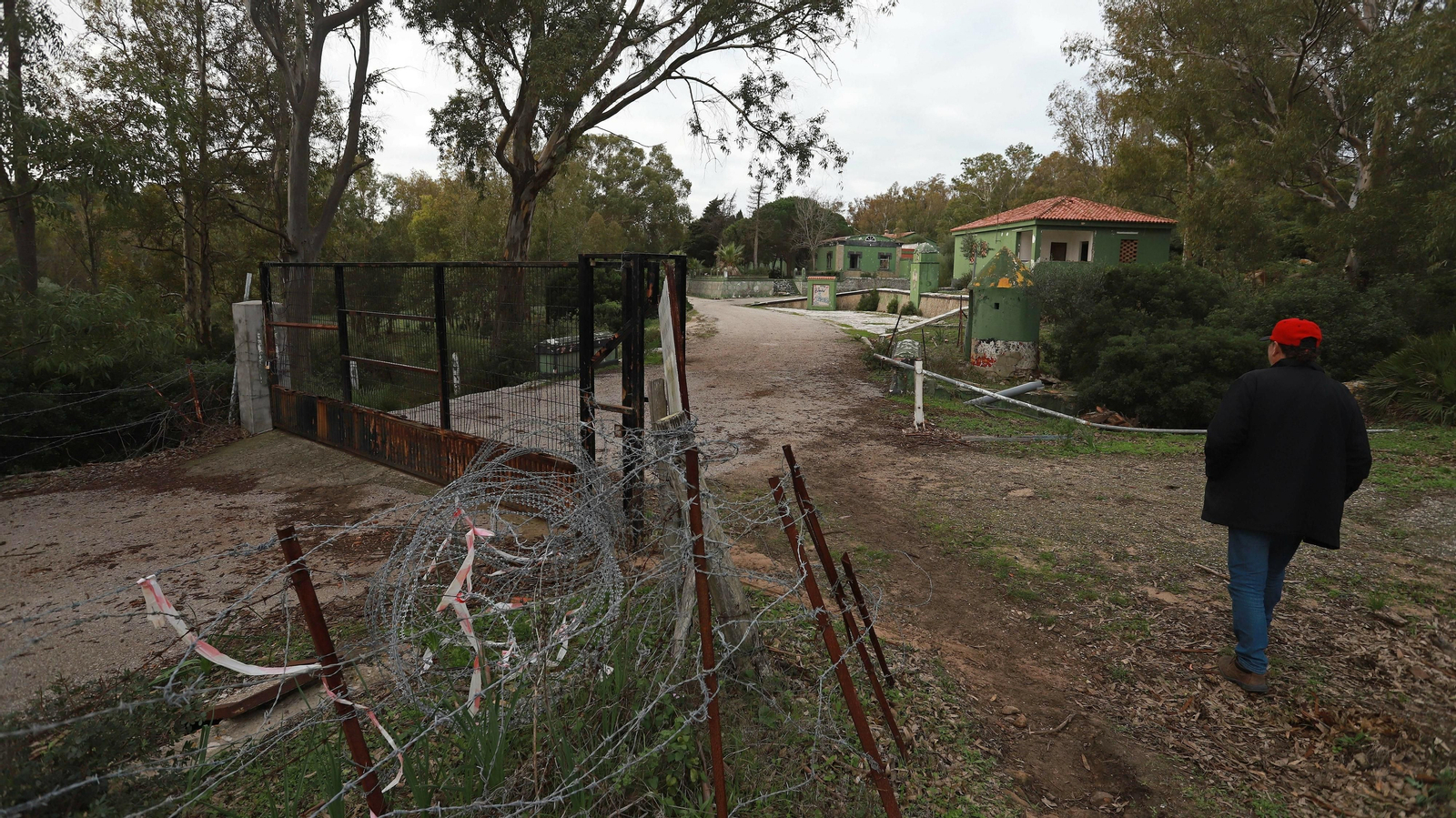 Las mejores fotos de Paloma Alta