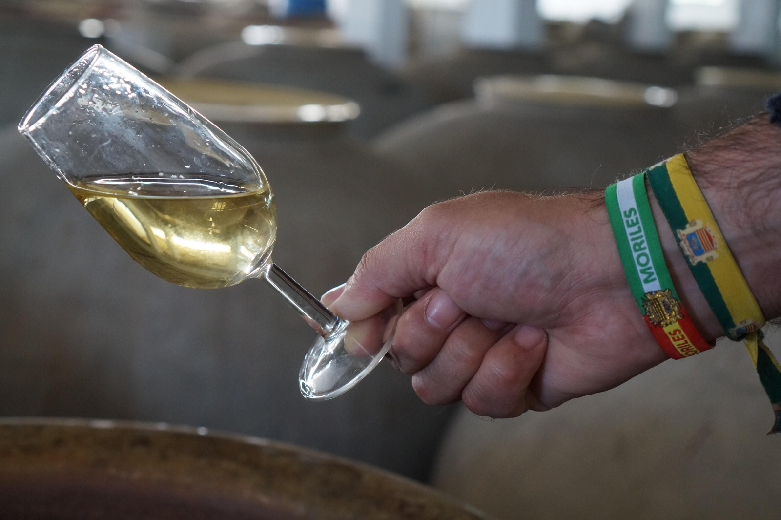 Un recorrido en fotografías por el vino nuevo de Moriles