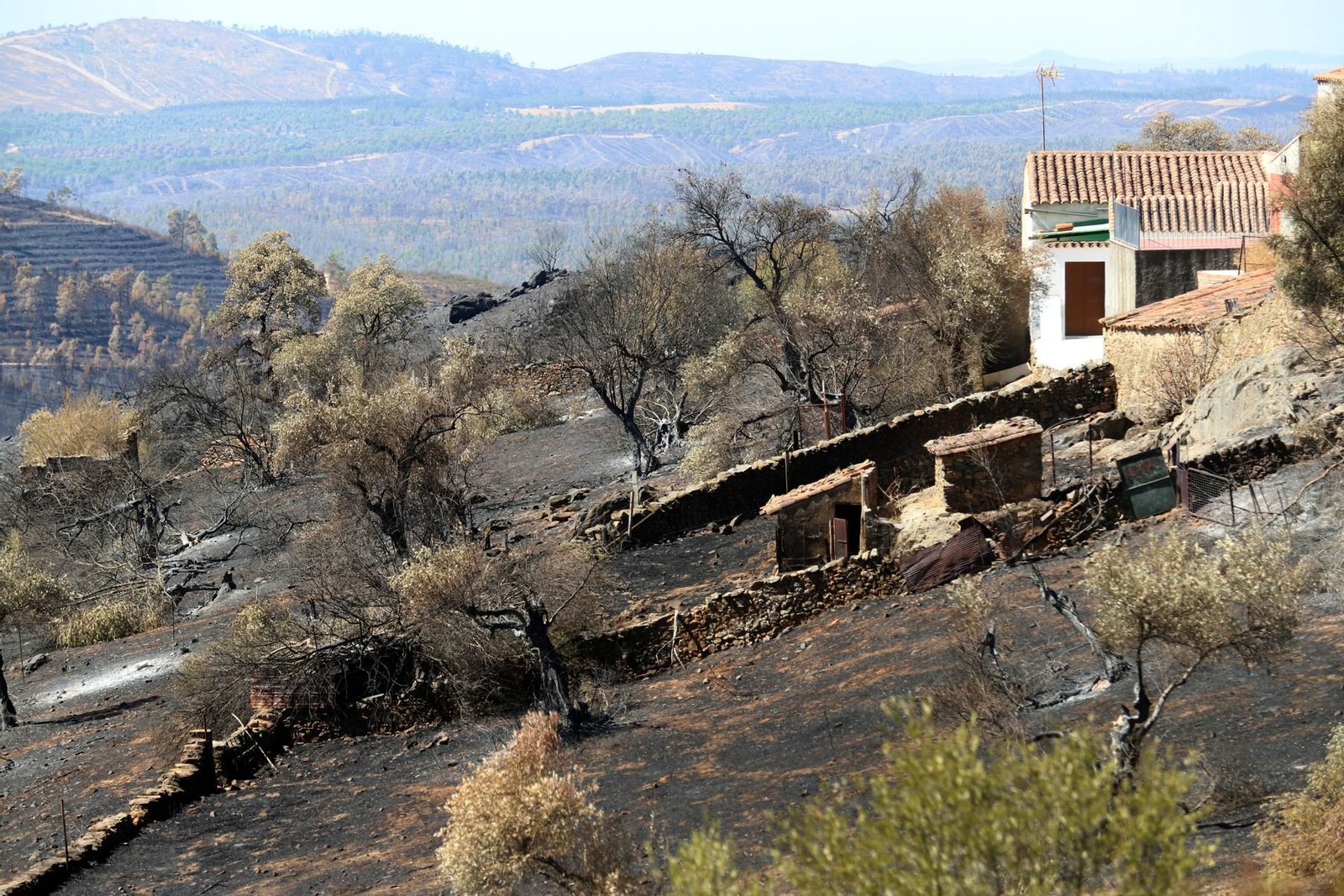 Imágenes de las zonas devastadas por el incendio de Almonaster la Real