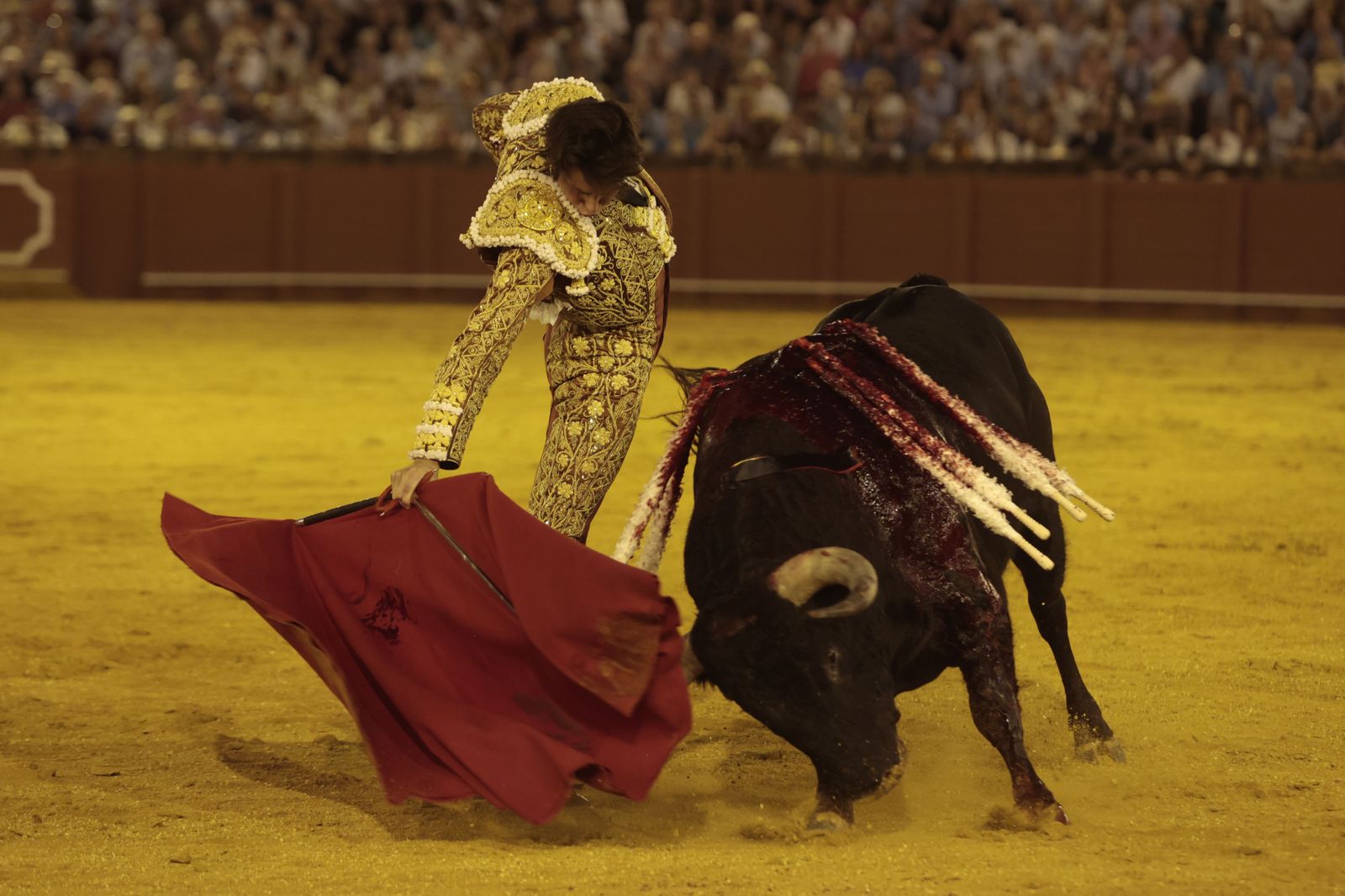 El triunfo de Castella en imágenes