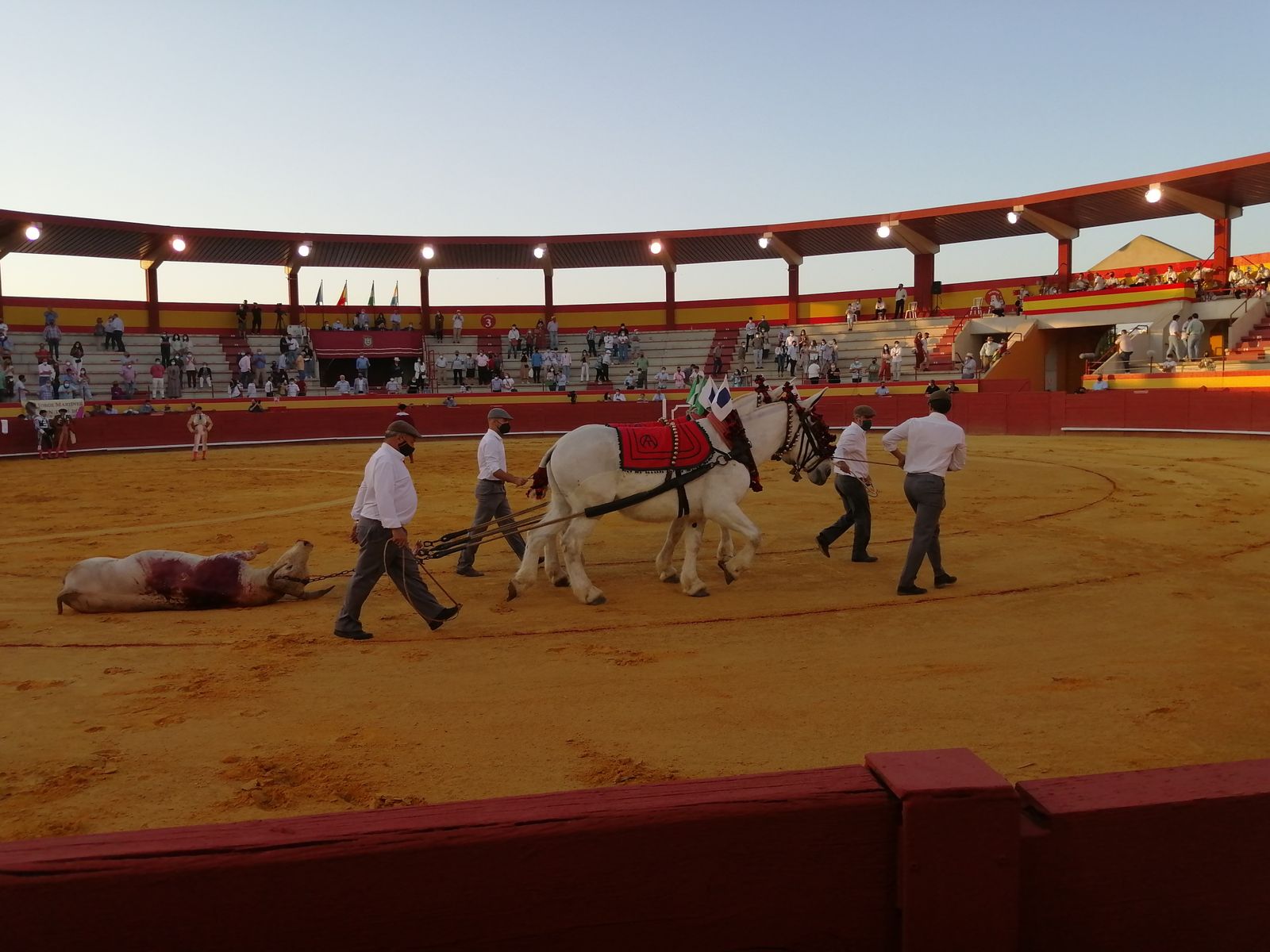 Un jabonero de vuelta al ruedo y tres realidades toreras que dejan esperanza