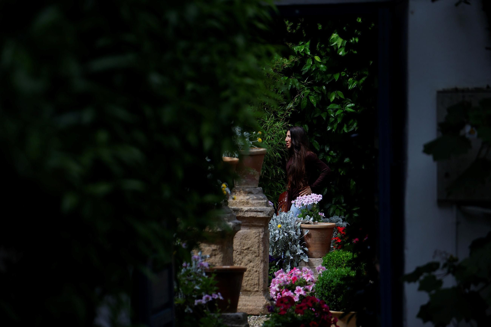 Los Patios del Palacio de Viana, en imágenes