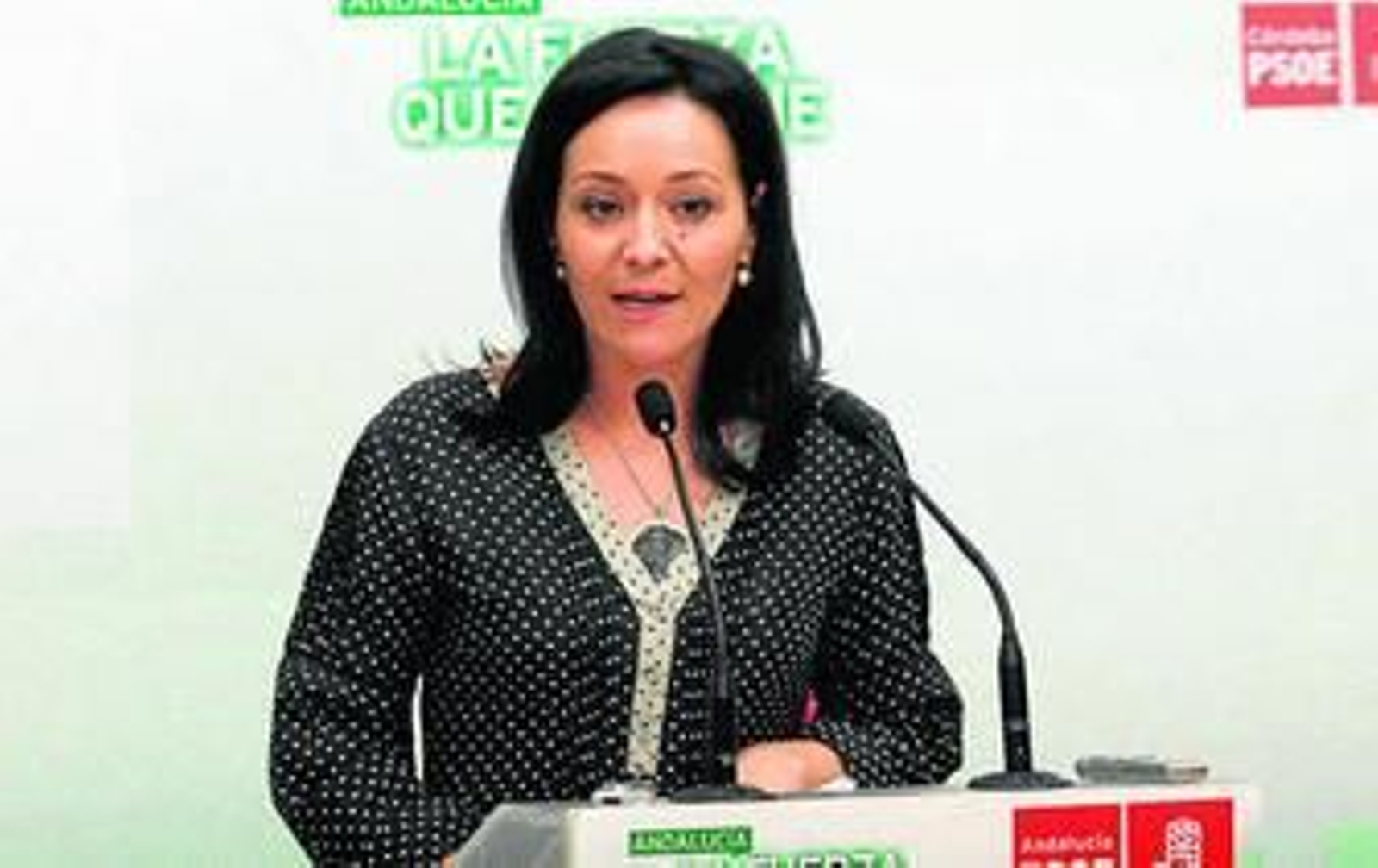 Rafaela Crespín, durante su intervención.