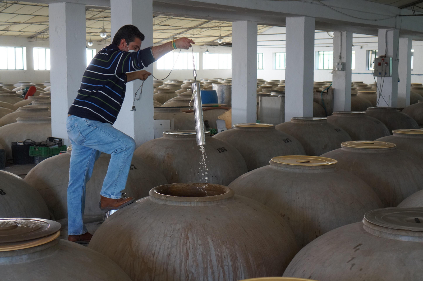 Un recorrido en fotografías por el vino nuevo de Moriles