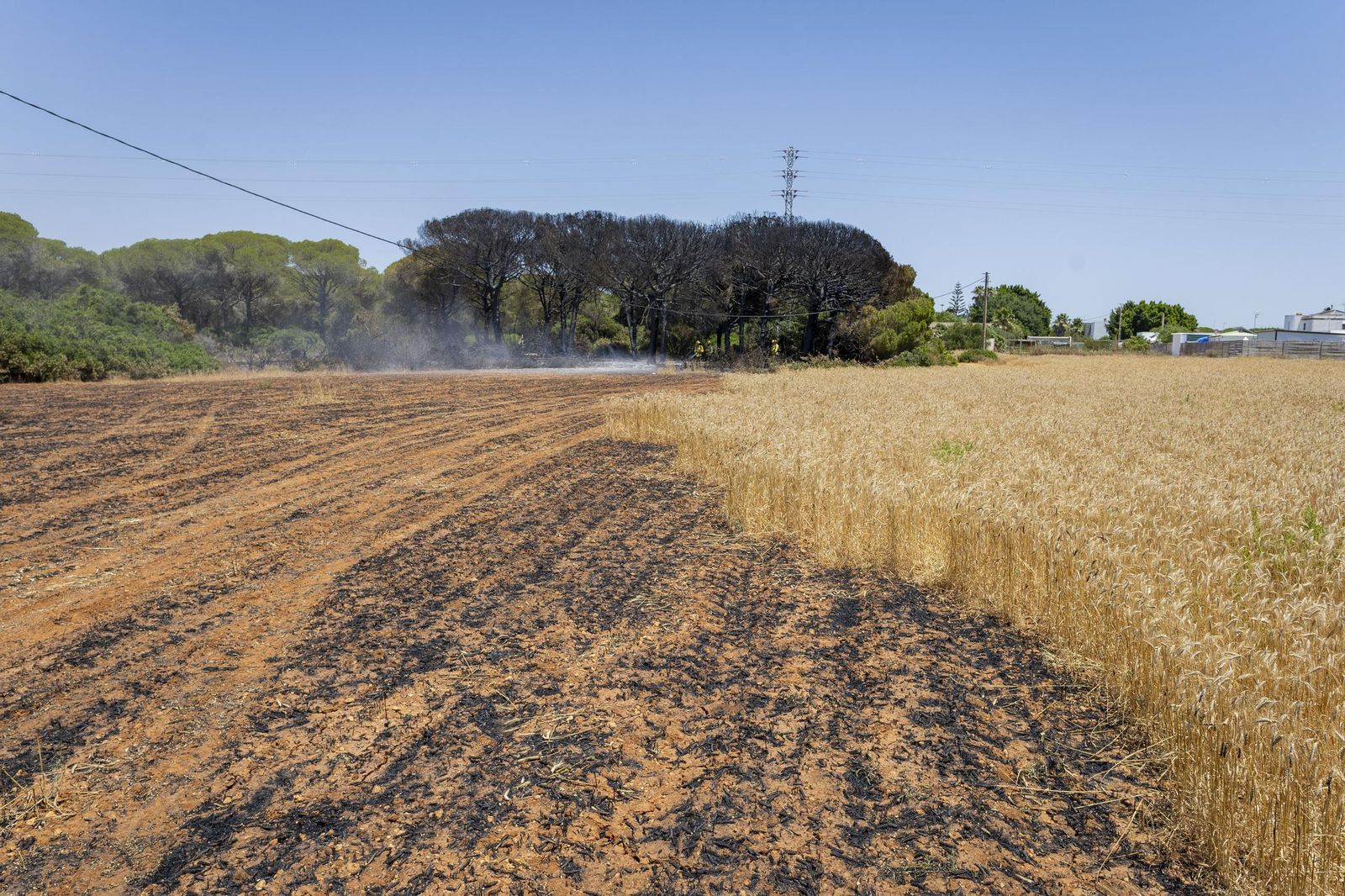 Las imágenes del incendio declarado junto a Roche, en Conil