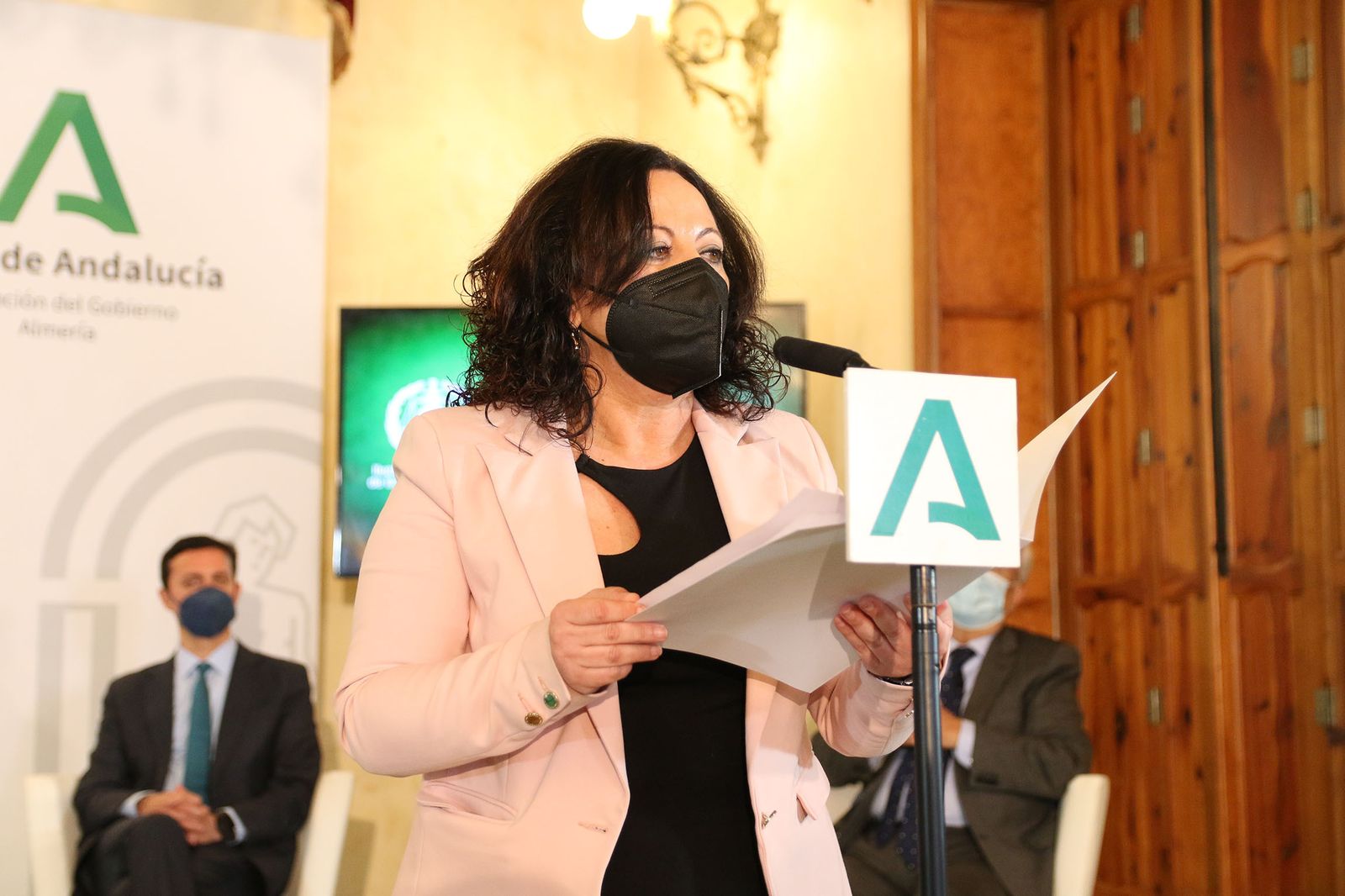 Fotogalería de la entrega de banderas por el Día de Andalucía