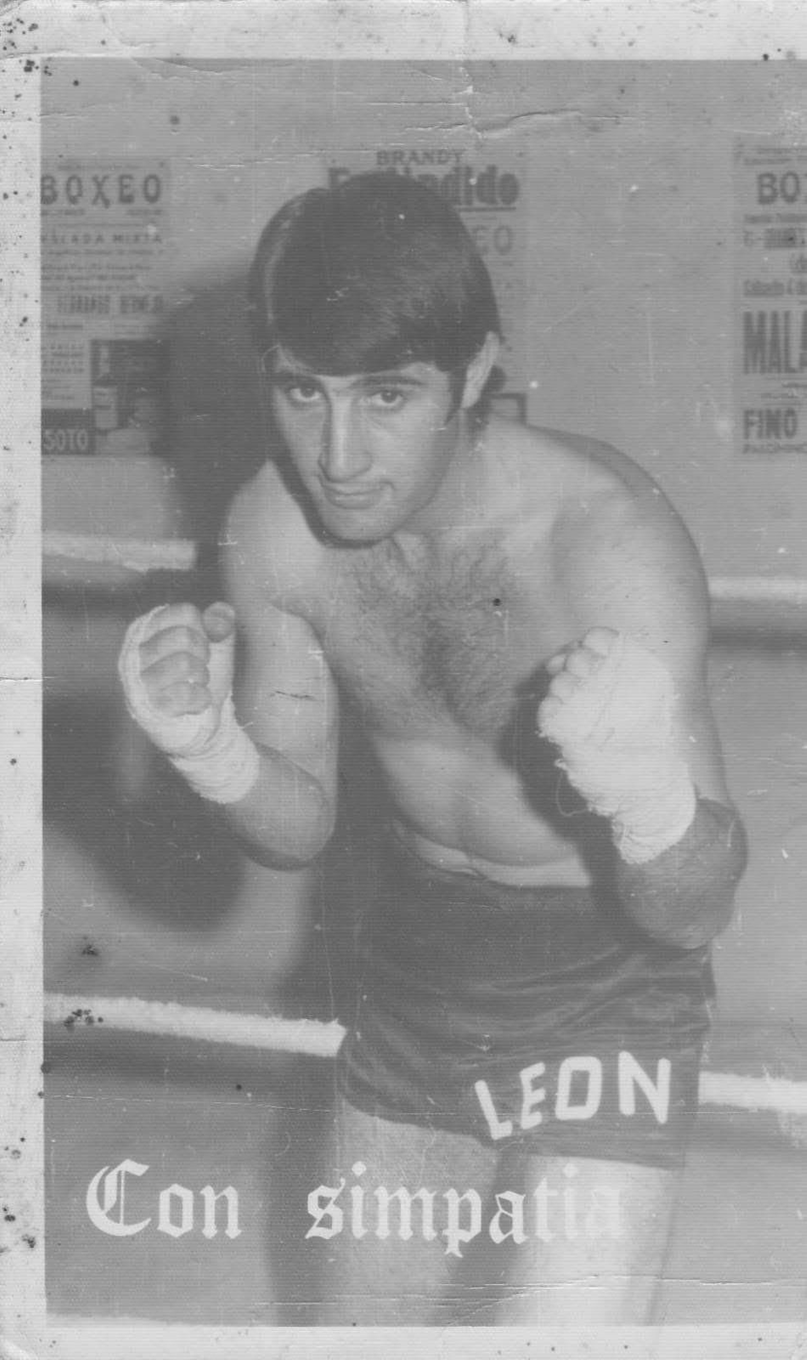 Antonio León disputó quince combates como profesional y ganó diez.