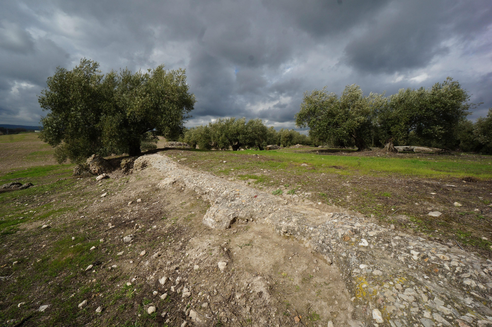 Los silos romanos del Carchena en Castro del Río, en fotografías