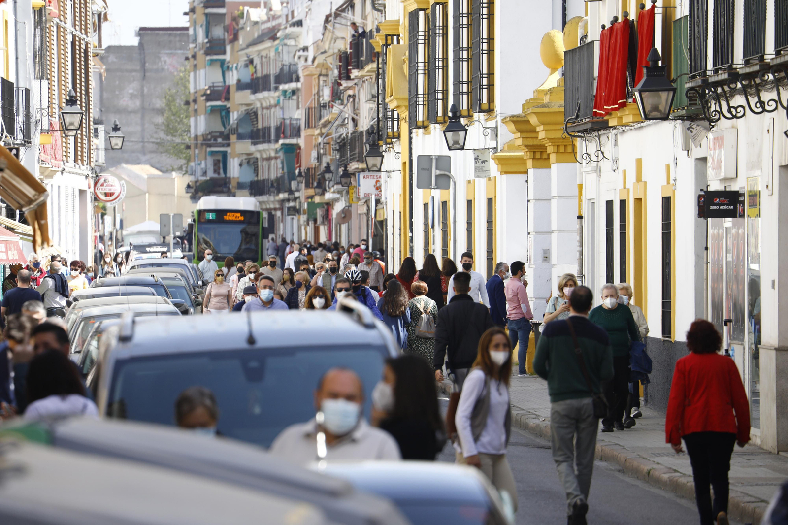 La hermandad de la Entrada Triunfal del Domingo de Ramos en Córdoba, en fotografías