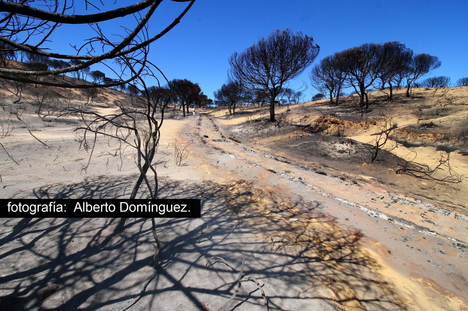 Imágenes de Cuesta Maneli tras el incendio.