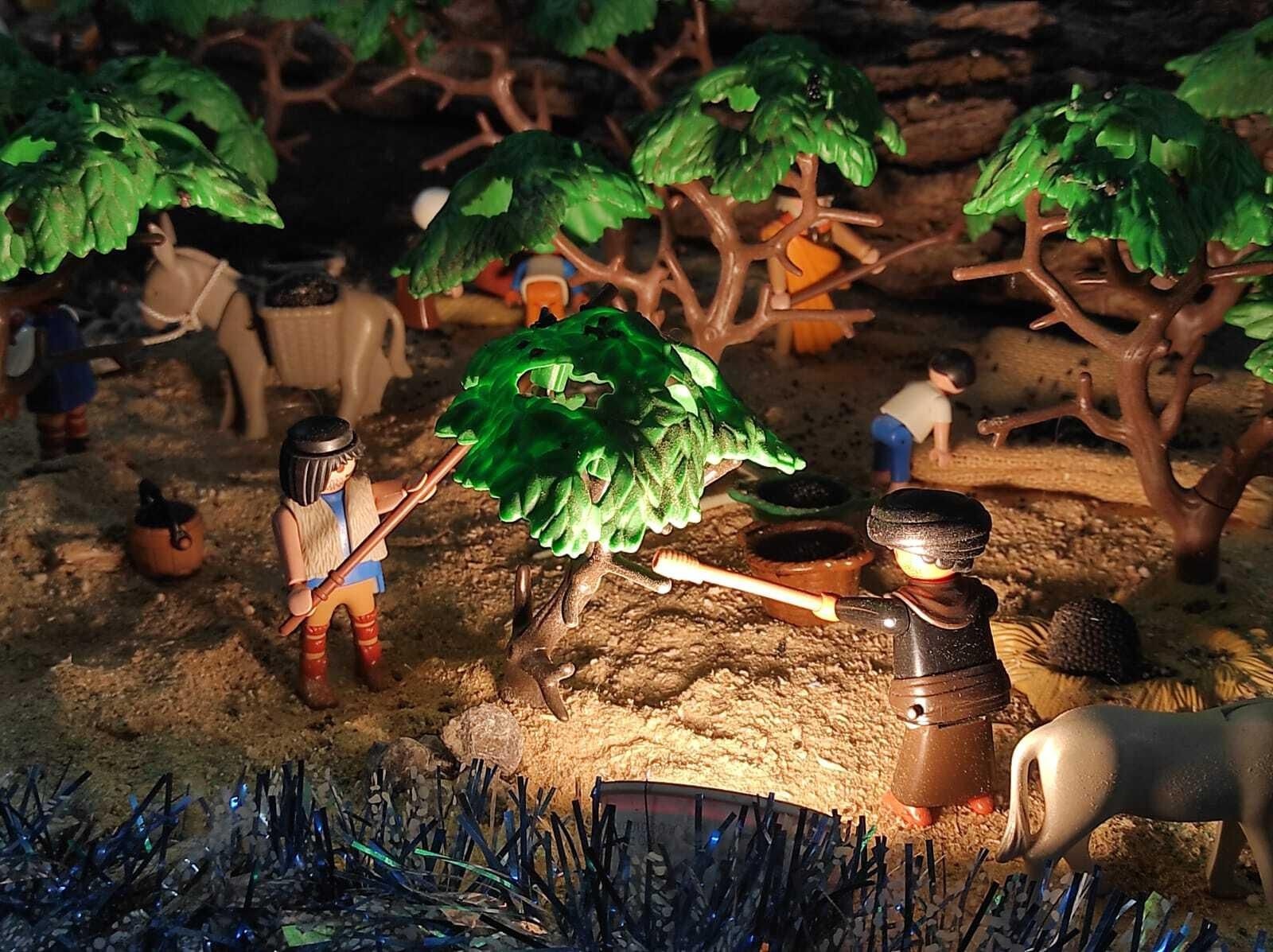 En tierra de aceite de oliva no podía faltar el vareo tradicional del olivo.