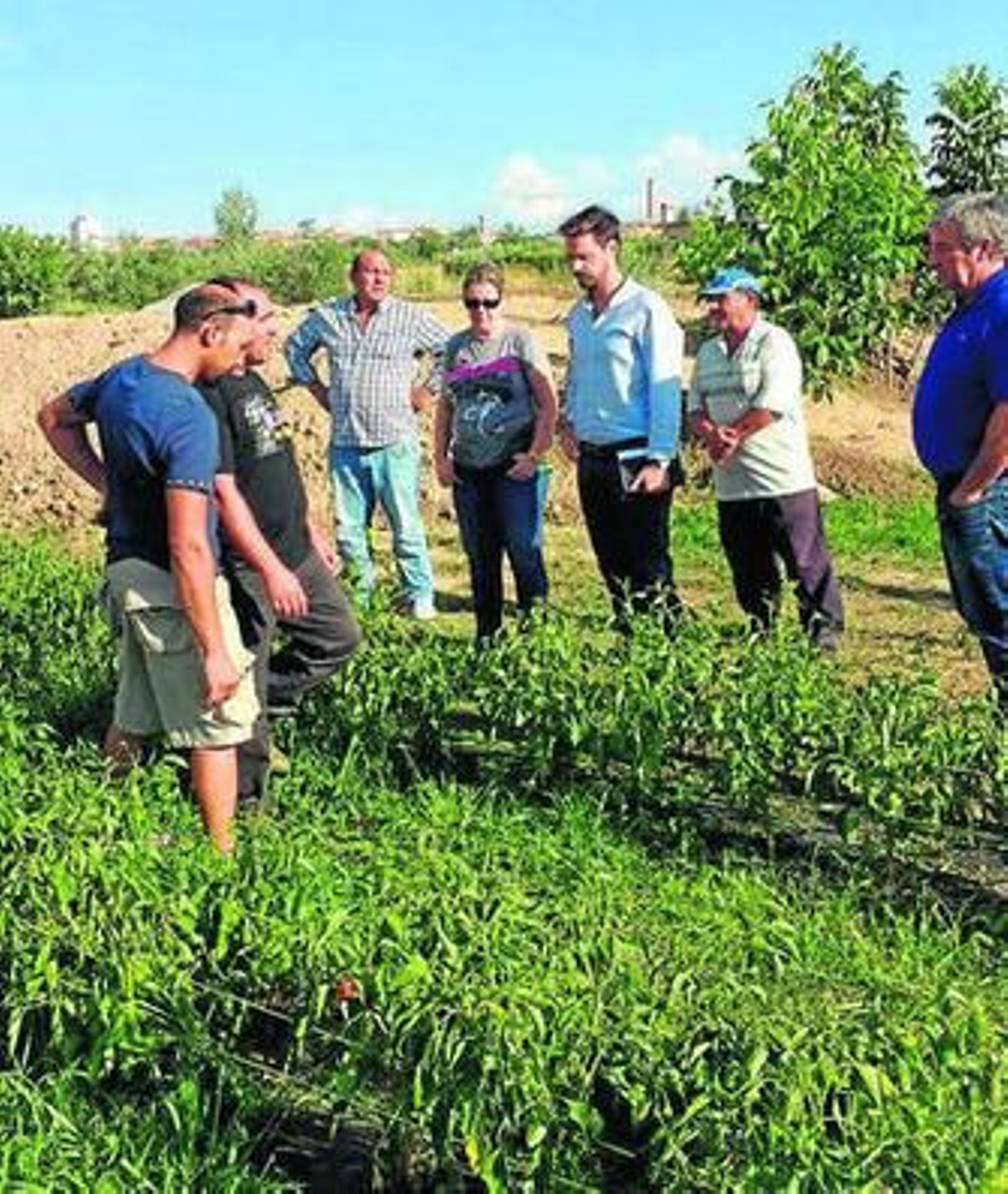 Los agricultores acompañaron ayer a las autoridades en su visita al campo.