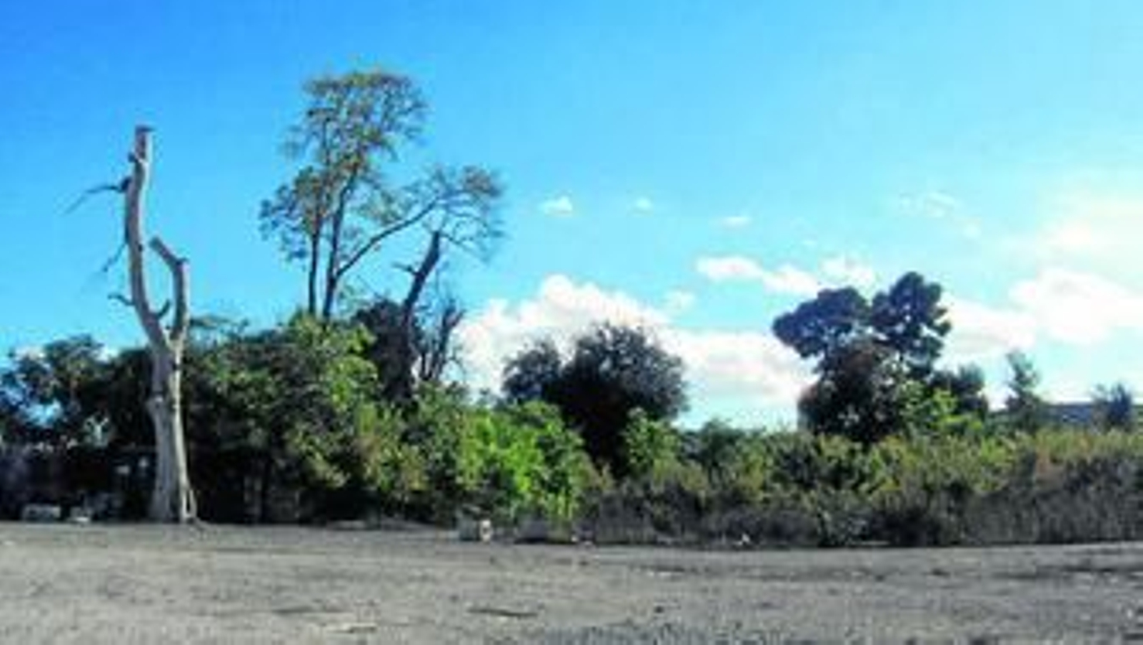 Los vecinos denuncian que la zona de El Jardín se haya convertido en un basurero.